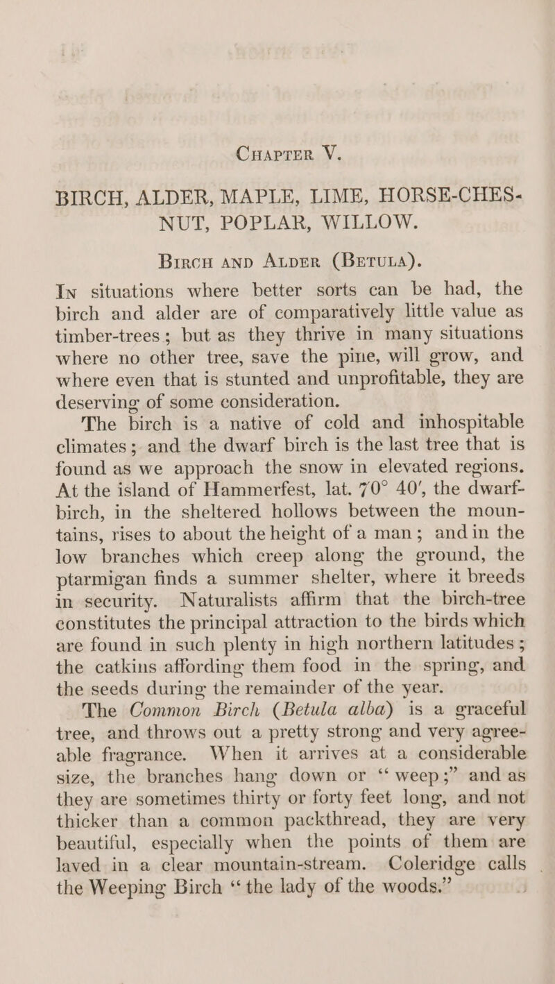 CHaprer V. BIRCH, ALDER, MAPLE, LIME, HORSE-CHES- NUT, POPLAR, WILLOW. Biron anp Auprer (Bertuta). In situations where better sorts can be had, the birch and alder are of comparatively little value as timber-trees ; but as they thrive in many situations where no other tree, save the pine, will grow, and where even that is stunted and unprofitable, they are deserving of some consideration. The birch is a native of cold and imhospitable climates; and the dwarf birch is the last tree that is found as we approach the snow in elevated regions. At the island of Hammerfest, lat. 70° 40’, the dwarf- birch, in the sheltered hollows between the moun- tains, rises to about the height of a man; and in the low branches which creep along the ground, the ptarmigan finds a summer shelter, where it breeds in security. Naturalists affirm that the birch-tree constitutes the principal attraction to the birds which are found in such plenty in high northern latitudes ; the catkins affording them food in the spring, and the seeds during the remainder of the year. The Common Birch (Betula alba) is a graceful tree, and throws out a pretty strong and very agree- able fragrance. When it arrives at a considerable size, the branches hang down or “ weep;” and as they are sometimes thirty or forty feet long, and not thicker than a common packthread, they are very beautiful, especially when the points of them are laved in a clear mountain-stream. Coleridge calls | the Weeping Birch ‘the lady of the woods.”
