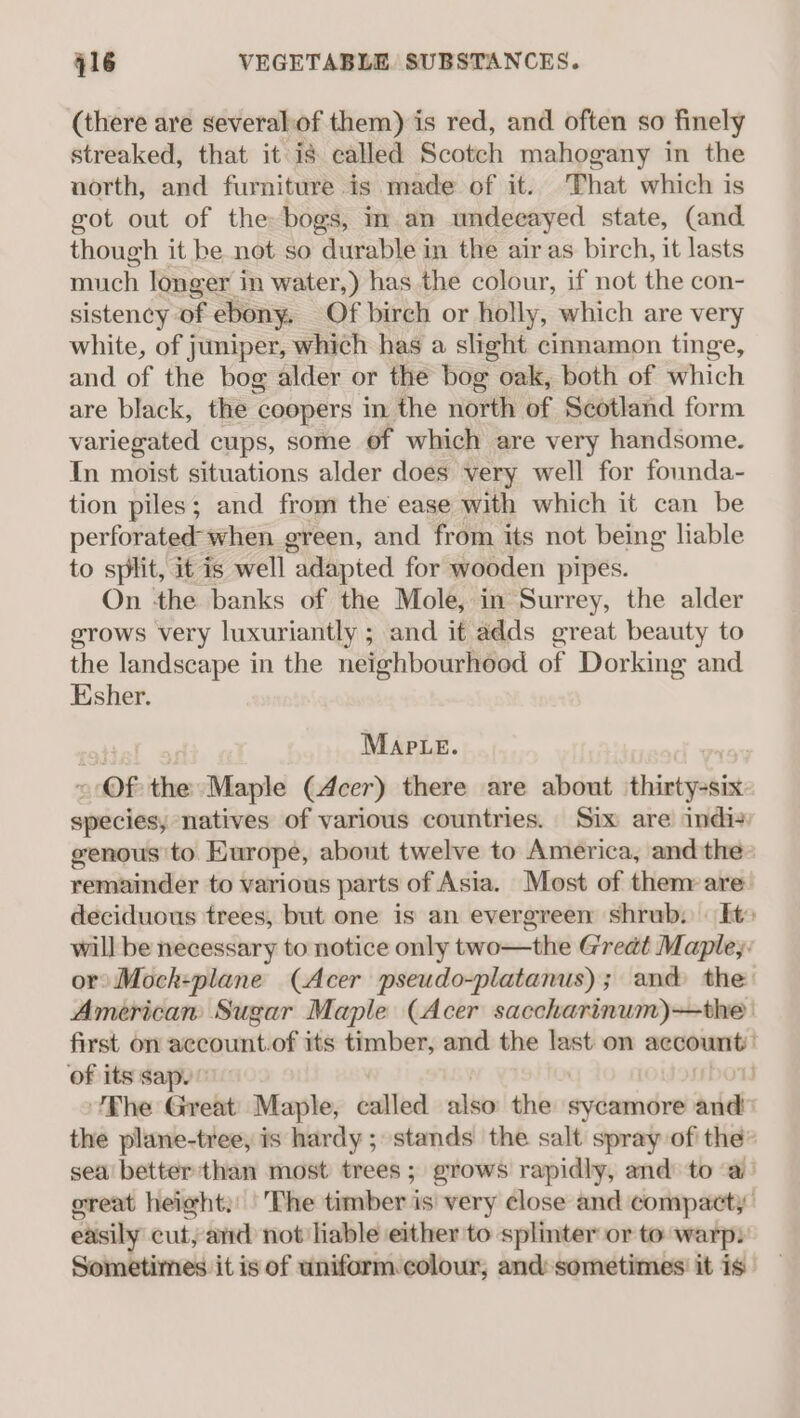 (there are severalof them) is red, and often so finely streaked, that it is called Scotch mahogany in the north, and furniture is made of it. That which is got out of the bogs, in an undecayed state, (and though it be not so durable in the air as birch, it lasts much longer in water,) has the colour, if not the con- sistency of ebony. Of birch or holly, which are very white, of juniper, which has a slight cinnamon tinge, and of the bog alder or the bog oak, both of which are black, the coopers in the north of Scotland form variegated cups, some of which are very handsome. In moist situations alder does very well for founda- tion piles; and from the ease with which it can be perforated when green, and from its not being liable to split, it is well “adapted for wooden pipes. On the banks of the Mole, in Surrey, the alder grows very luxuriantly ; and it adds great beauty to the landscape in the neighbourhood of Dorking and Esher. m Maple. ~ (Of the: Maple (4cer) there are about thirty-six species; natives of various countries. Six are indis genous'to Europe, about twelve to America, andthe: remainder to various parts of Asia. Most of then are deciduous trees, but one is an evergreen shrub. | Et» will be necessary to notice only two—the Great Maple;. or) Mock-plane (Acer pseudo-platanus); and the American Sugar Maple (Acer saccharinum)—the first on account.of its timber, and the last on peraerwed of its sap. The Great Maple, balled also dees sycamore and: the plane-tree, is hardy; stands the salt spray of the’ sea better than most trees ; grows rapidly, and to a. great height: | 'The timber is very close and compacty easily cut, and not'liable either to splinter or to warp)