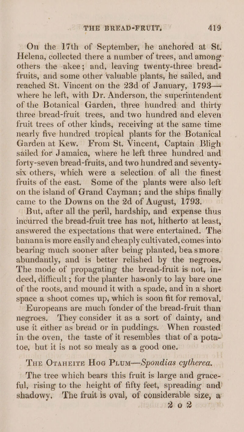 On the 17th of September, he anchored at St. Helena, collected there a number of trees, and among others the -akee; and, leaving twenty-three bread- fruits, and some other valuable plants, he sailed, and reached St. Vincent on the 23d of January, 1793— where he left, with Dr. Anderson, the superintendent of the Botanical Garden, three hundred and thirty three bread-fruit trees, and two hundred and eleven fruit trees of other kinds, receiving at the same time nearly five hundred tropical plants for the Botanical Garden at Kew. From St. Vincent, Captain. Bligh sailed for Jamaica, where he left three hundred and forty-seven bread-fruits, and two hundred and seventy- six others, which were a selection. of all the finest fruits of the east. Some of the plants were also left on the island of Grand Cayman; and the ships finally came to the Downs on the 2d of August, 1793. But, after all the peril, hardship, and expense thus incurred the bread-fruit tree has not, hitherto at least, answered the expectations that were entertained. The bananais more easily and cheaply cultivated, comes into bearing much sooner after being planted, beasmore. abundantly, and is better relished by the negroes, The mode of propagating the bread-fruit is not, in- deed, difficult ; for the planter hasonly to lay bare one of the roots, and mound it with a spade, and in a short space a shoot comes up, which is soon fit for removal, Europeans are much fonder of the bread-fruit than negroes. ‘They consider it as a sort of dainty, and use it either as bread or in puddings. When roasted in the oven, the taste of it resembles that of a pota- toe, but it is not so mealy as a good one. Tue Oraneite Hog Prum—Spondias cytherea. The tree which bears this fruit is large and grace- ful, rising to the height of fifty feet, spreading and’ shadowy. ‘The fruit is oval, of considerable size, a 202