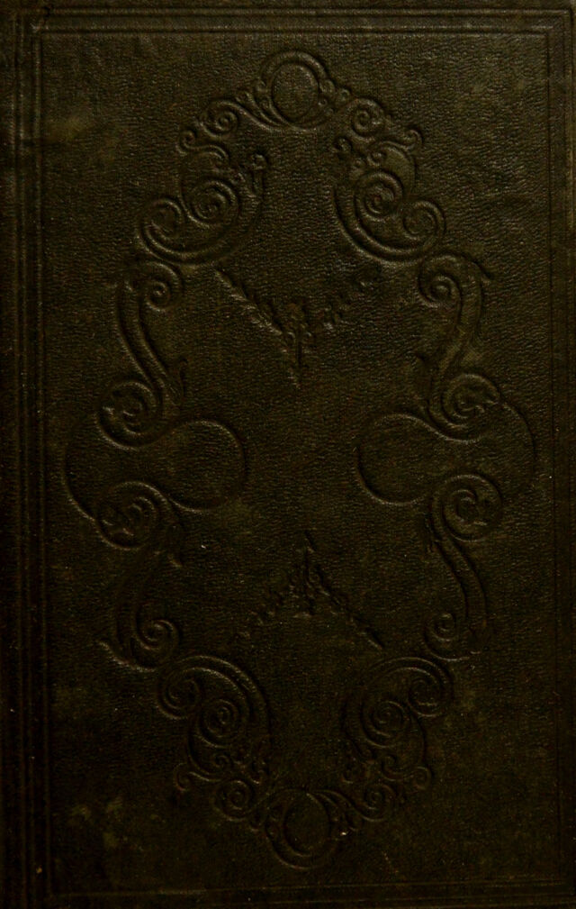 No text description is available for this image