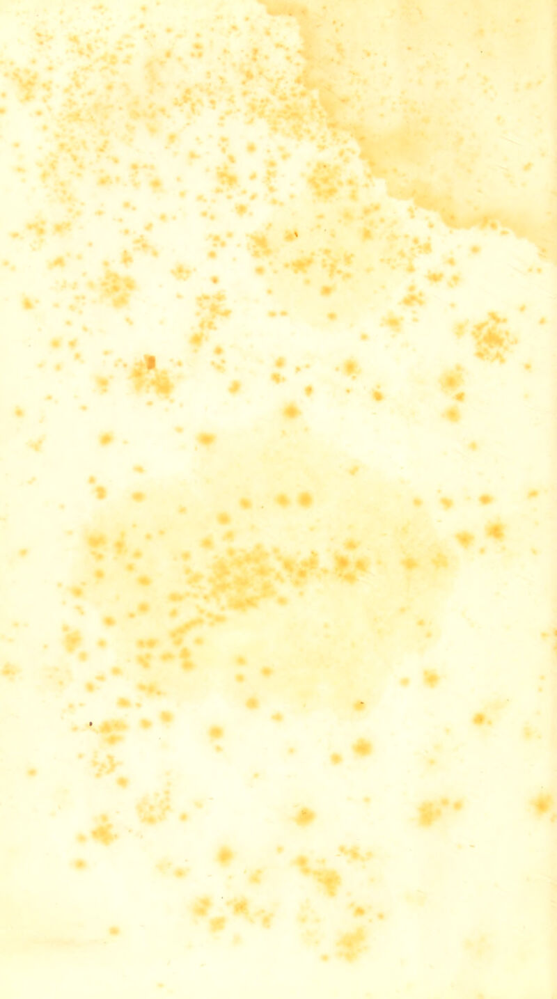 .. v-. o » *** At - * • 'C • • * . , -r -f « * . %