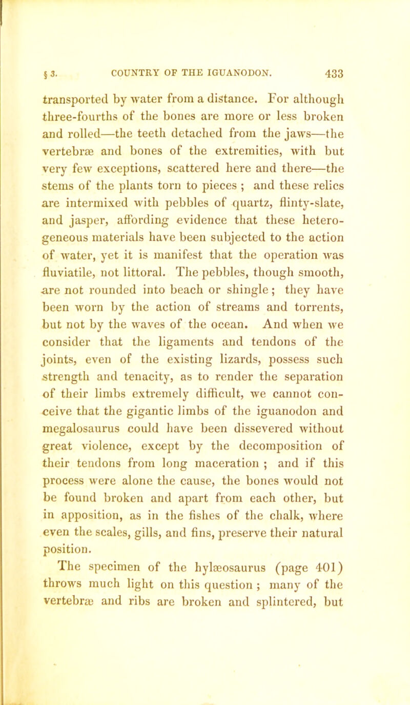 transported by water from a distance. For although three-fourths of the bones are more or less broken and rolled—the teeth detached from the jaws—the vertebras and bones of the extremities, with but very few exceptions, scattered here and there—the stems of the plants torn to pieces ; and these relics are intermixed with pebbles of quartz, flinty-slate, and jasper, affording evidence that these hetero- geneous materials have been subjected to the action of water, yet it is manifest that the operation was fluviatile, not littoral. The pebbles, though smooth, are not rounded into beach or shingle; they have been worn by the action of streams and torrents, but not by the waves of the ocean. And when we consider that the ligaments and tendons of the joints, even of the existing lizards, possess such strength and tenacity, as to render the separation of their limbs extremely difficult, we cannot con- ceive that the gigantic limbs of the iguanodon and megalosaurus could have been dissevered without great violence, except by the decomposition of their tendons from long maceration ; and if this process were alone the cause, the bones would not be found broken and apart from each other, but in apposition, as in the fishes of the chalk, where even the scales, gills, and fins, preserve their natural position. The specimen of the hylaeosaurus (page 401) throws much light on this question ; many of the vertebras and ribs are broken and splintered, but