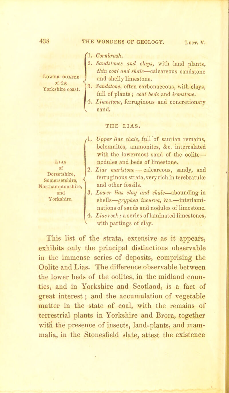 Cornbrash. Sandstones and clays, with land plants, thin coal and shale—calcareous sandstone and shelly limestone. Sandstone, often carbonaceous, with clays, full of plants ; coal beds and ironstone. Limestone, ferruginous and concretionary sand. THE LIAS. Upper lias shale, full of saurian remains, belemnites, ammonites, &c. intercalated with the lowermost sand of the oolite— nodules and beds of limestone. Lias marlstone — calcareous, sandy, and ferruginous strata, very rich in terebratulse and other fossils. Lower lias clay and shale—abounding in shells—gryphea incurva, &c.—interlami- nations of sands and nodules of limestone. Lias rock; a series of laminated limestones, with partings of clay. This list of the strata, extensive as it appears, exhibits only the principal distinctions observable in the immense series of deposits, comprising the Oolite and Lias. The dilference observable between the lower beds of the oolites, in the midland coun- ties, and in Yorkshire and Scotland, is a fact of great interest; and the accumulation of vegetable matter in the state of coal, with the remains of terrestrial plants in Yorkshire and Brora, together with the presence of insects, land-plants, and mam- malia, in the Stonesfield slate, attest the existence Lower oolite of the Yorkshire coast. Lias of Dorsetshire, Somersetshire, Northamptonshire, and Yorkshire.