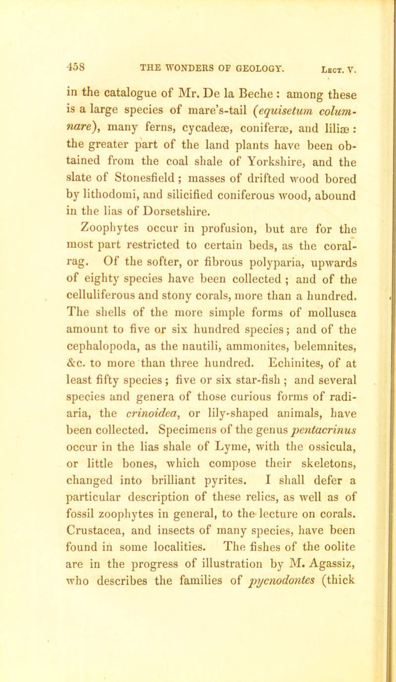 in the catalogue of Mr. De la Beebe : among these is a large species of mare’s-tail (equisetum colum- nar), many ferns, cycadeae, coniferas, and liliae : the greater part of the land plants have been ob- tained from the coal shale of Yorkshire, and the slate of Stonesfield ; masses of drifted wood bored by lithodomi, and silicified coniferous wood, abound in the lias of Dorsetshire. Zoophytes occur in profusion, but are for the most part restricted to certain beds, as the coral- rag. Of the softer, or fibrous polyparia, upwards of eighty species have been collected ; and of the celluliferous and stony corals, more than a hundred. The shells of the more simple forms of mollusca amount to five or six hundred species; and of the cephalopoda, as the nautili, ammonites, belemnites, &c. to more than three hundred. Echinites, of at least fifty species; five or six star-fish ; and several species and genera of those curious forms of radi- aria, the crinoidea, or lily-shaped animals, have been collected. Specimens of the genus pentacrinus occur in the lias shale of Lyme, with the ossicula, or little bones, which compose their skeletons, changed into brilliant pyrites. I shall defer a particular description of these relics, as well as of fossil zoophytes in general, to the lecture on corals. Crustacea, and insects of many species, have been found in some localities. The fishes of the oolite are in the progress of illustration by M. Agassiz, who describes the families of pycnodontes (thick