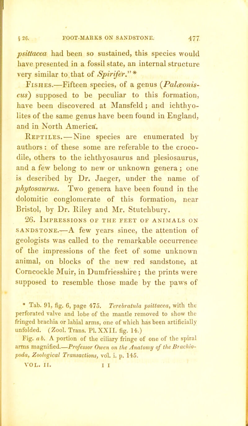 psittacea had been so sustained, this species would have presented in a fossil state, an internal structure very similar to that of Spirife'r.* Fishes.—Fifteen species, of a genus (Palceonis- cits') supposed to be peculiar to this formation, have been discovered at Mansfeld ; and ichthyo- lites of the same genus have been found in England, and in North America'. Reptiles.—Nine species are enumerated by authors: of these some are referable to the croco- dile, others to the ichthyosaurus and plesiosaurus, and a few belong to new or unknown genera ; one is described by Dr. Jaeger, under the name of phytosaurus. Two genera have been found in the dolomitic conglomerate of this formation, near Bristol, by Dr. Riley and Mr. Stutchbury. 26. Impressions of the feet of animals on sandstone.—A few years since, the attention of geologists was called to the remarkable occurrence of the impressions of the feet of some unknown animal, on blocks of the new red sandstone, at Corncockle Muir, in Dumfriesshire; the prints were supposed to resemble those made by the paws of * Tab. 91, fig. 6, page 475. Terebratula psittacea, with the perforated valve and lobe of the mantle removed to show the fringed brachia or labial arms, one of which has been artificially unfolded. (Zool. Trans. PI.XXII. fig. 14.) Fig. ab. A portion of the ciliary fringe of one of the spiral arms magnified.—Professor Owen on the Anatomy of the Brachio- poda, Zoological Transactions, vol. i. p. 145. VOL. II. I I