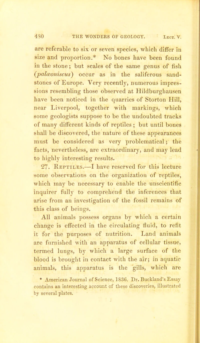 are referable to six or seven species, which differ in size and proportion.* No bones have been found in the stone; but scales of the same genus of fish (palceotiiscus) occur as in the saliferous sand- stones of Europe. Very recently, numerous impres- sions resembling those observed at Hildburghausen have been noticed in the quarries of Storton Hill, near Liverpool, together with markings, which some geologists suppose to be the undoubted tracks of many different kinds of reptiles ; but until bones shall be discovered, the nature of these appearances must be considered as very problematical; the facts, nevertheless, are extraordinary, and may lead to highly interesting results. 27. Reptiles.—I have reserved for this lecture some observations on the organization of reptiles, which may be necessary to enable the unscientific inquirer fully to comprehend the inferences that arise from an investigation of the fossil remains of this class of beings. All animals possess organs by which a certain change is effected in the circulating fluid, to refit it for the purposes of nutrition. Land animals are furnished with an apparatus of cellular tissue, termed lungs, by which a large surface of the blood is brought in contact with the air; in aquatic animals, this apparatus is the gills, which are * American Journal of Science, 1836. Dr. Buckland’s Essay contains an interesting account of these discoveries, illustrated by several plates.