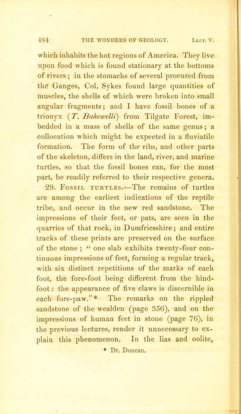 which inhabits the hot regions of America. They live upon food which is found stationary at the bottoms of rivers ; in the stomachs of several procured from the Ganges, Col. Sykes found large quantities of muscles, the shells of which were broken into small angular fragments; and I have fossil bones of a trionyx (71. Bakewelli) from Tilgate Forest, im- bedded in a mass of shells of the same genus; a collocation which might be expected in a fluviatile formation. The form of the ribs, and other parts of the skeleton, differs in the land, river, and marine turtles, so that the fossil bones can, for the most part, be readily referred to their respective genera. 29. Fossil turtles.—The remains of turtles are among the earliest indications of the reptile tribe, and occur in the new red sandstone. The impressions of their feet, or pats, are seen in the quarries of that rock, in Dumfriesshire; and entire tracks of these prints are preserved on the surface of the stone ; “ one slab exhibits twenty-four con- tinuous impressions of feet, forming a regular track, with six distinct repetitions of the marks of each foot, the fore-foot being different from the hind- foot : the appearance of five claws is discernible in each fore-paw.”* The remarks on the rippled sandstone of the wealden (page 356), and on the impressions of human feet in stone (page 76), in the previous lectures, render it unnecessary to ex- plain this phenomenon. In the lias and oolite,