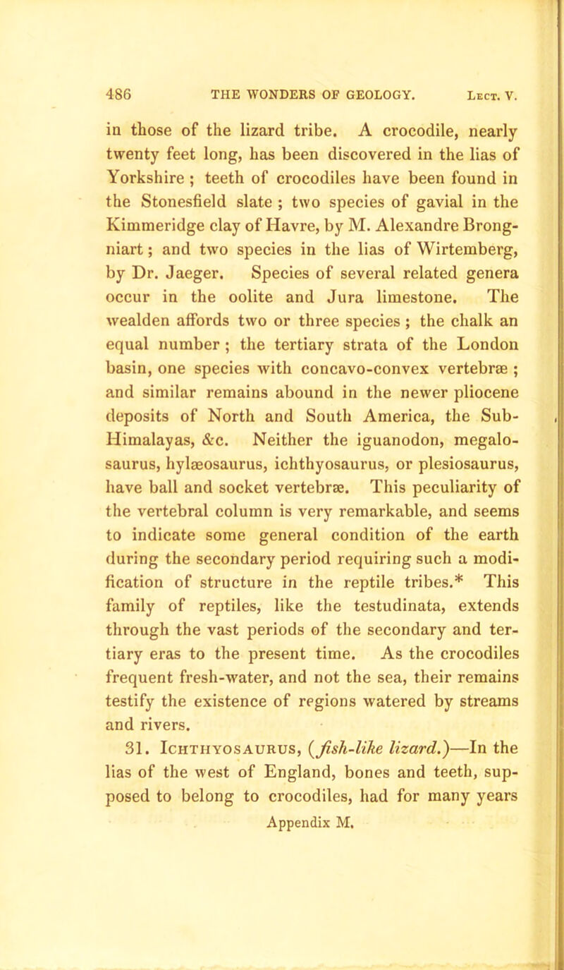 in those of the lizard tribe. A crocodile, nearly twenty feet long, has been discovered in the lias of Yorkshire ; teeth of crocodiles have been found in the Stonesfield slate ; two species of gavial in the Kimmeridge clay of Havre, by M. Alexandre Brong- niart; and two species in the lias of Wirtemberg, by Dr. Jaeger. Species of several related genera occur in the oolite and Jura limestone. The wealden affords two or three species; the chalk an equal number ; the tertiary strata of the London basin, one species with concavo-convex vertebne ; and similar remains abound in the newer pliocene deposits of North and South America, the Sub- Himalayas, &c. Neither the iguanodon, megalo- saurus, hylaeosaurus, ichthyosaurus, or plesiosaurus, have ball and socket vertebra. This peculiarity of the vertebral column is very remarkable, and seems to indicate some general condition of the earth during the secondary period requiring such a modi- fication of structure in the reptile tribes.* This family of reptiles, like the testudinata, extends through the vast periods of the secondary and ter- tiary eras to the present time. As the crocodiles frequent fresh-water, and not the sea, their remains testify the existence of regions watered by streams and rivers. 31. Ichthyosaurus, (fish-like lizard.')—In the lias of the west of England, bones and teeth, sup- posed to belong to crocodiles, had for many years Appendix M.