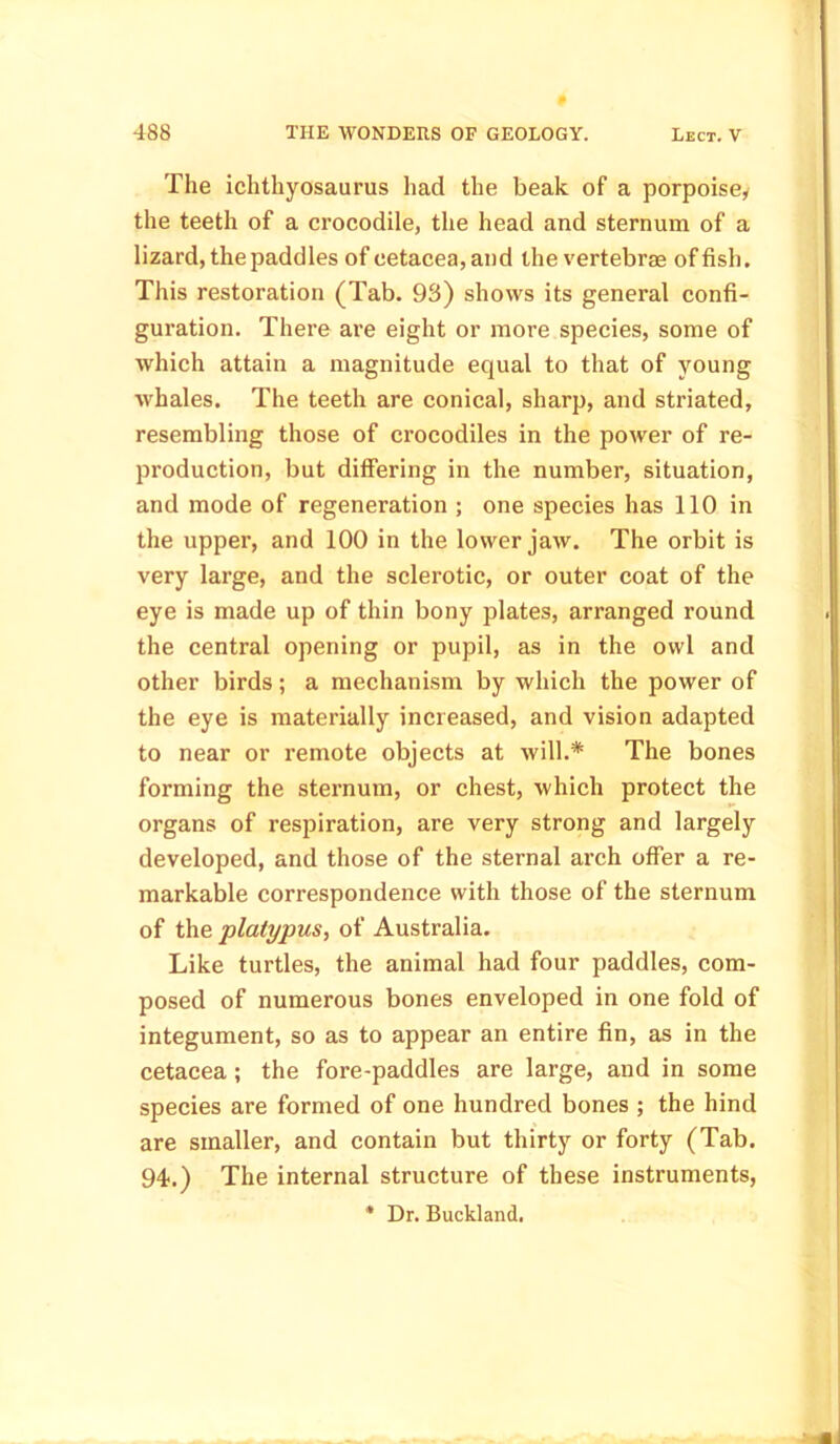 The ichthyosaurus had the beak of a porpoise, the teeth of a crocodile, the head and sternum of a lizard, the paddles of cetacea, and the vertebrae offish. This restoration (Tab. 93) shows its general confi- guration. There are eight or more species, some of which attain a magnitude equal to that of young whales. The teeth are conical, sharp, and striated, resembling those of crocodiles in the power of re- production, but differing in the number, situation, and mode of regeneration ; one species has 110 in the upper, and 100 in the lower jaw. The orbit is very large, and the sclerotic, or outer coat of the eye is made up of thin bony plates, arranged round the central opening or pupil, as in the owl and other birds; a mechanism by which the power of the eye is materially increased, and vision adapted to near or remote objects at will.* The bones forming the sternum, or chest, which protect the organs of respiration, are very strong and largely developed, and those of the sternal arch offer a re- markable correspondence with those of the sternum of the platypus, of Australia. Like turtles, the animal had four paddles, com- posed of numerous bones enveloped in one fold of integument, so as to appear an entire fin, as in the cetacea; the fore-paddles are large, and in some species are formed of one hundred bones ; the hind are smaller, and contain but thirty or forty (Tab. 94.) The internal structure of these instruments,