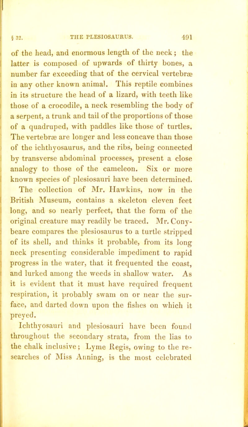 I § 32. THE PLESIOSAURUS. 491 of the head, and enormous length of the neck; the latter is composed of upwards of thirty bones, a number far exceeding that of the cervical vertebras in any other known animal. This reptile combines in its structure the head of a lizard, with teeth like those of a crocodile, a neck resembling the body of a serpent, a trunk and tail of the proportions of those of a quadruped, with paddles like those of turtles. The vertebrae are longer and less concave than those of the ichthyosaurus, and the ribs, being connected by transverse abdominal processes, present a close analogy to those of the cameleon. Six or more known species of plesiosauri have been determined. The collection of Mr. Hawkins, now in the British Museum, contains a skeleton eleven feet long, and so nearly perfect, that the form of the original creature may readily be traced. Mr. Cony- beare compares the plesiosaurus to a turtle stripped of its shell, and thinks it probable, from its long neck presenting considerable impediment to rapid progress in the water, that it frequented the coast, and lurked among the weeds in shallow water. As it is evident that it must have required frequent respiration, it probably swam on or near the sur- face, and darted down upon the fishes on which it preyed. Ichthyosauri and plesiosauri have been found throughout the secondary strata, from the lias to the chalk inclusive; Lyme Regis, owing to the re- searches of Miss Aiming, is the most celebrated