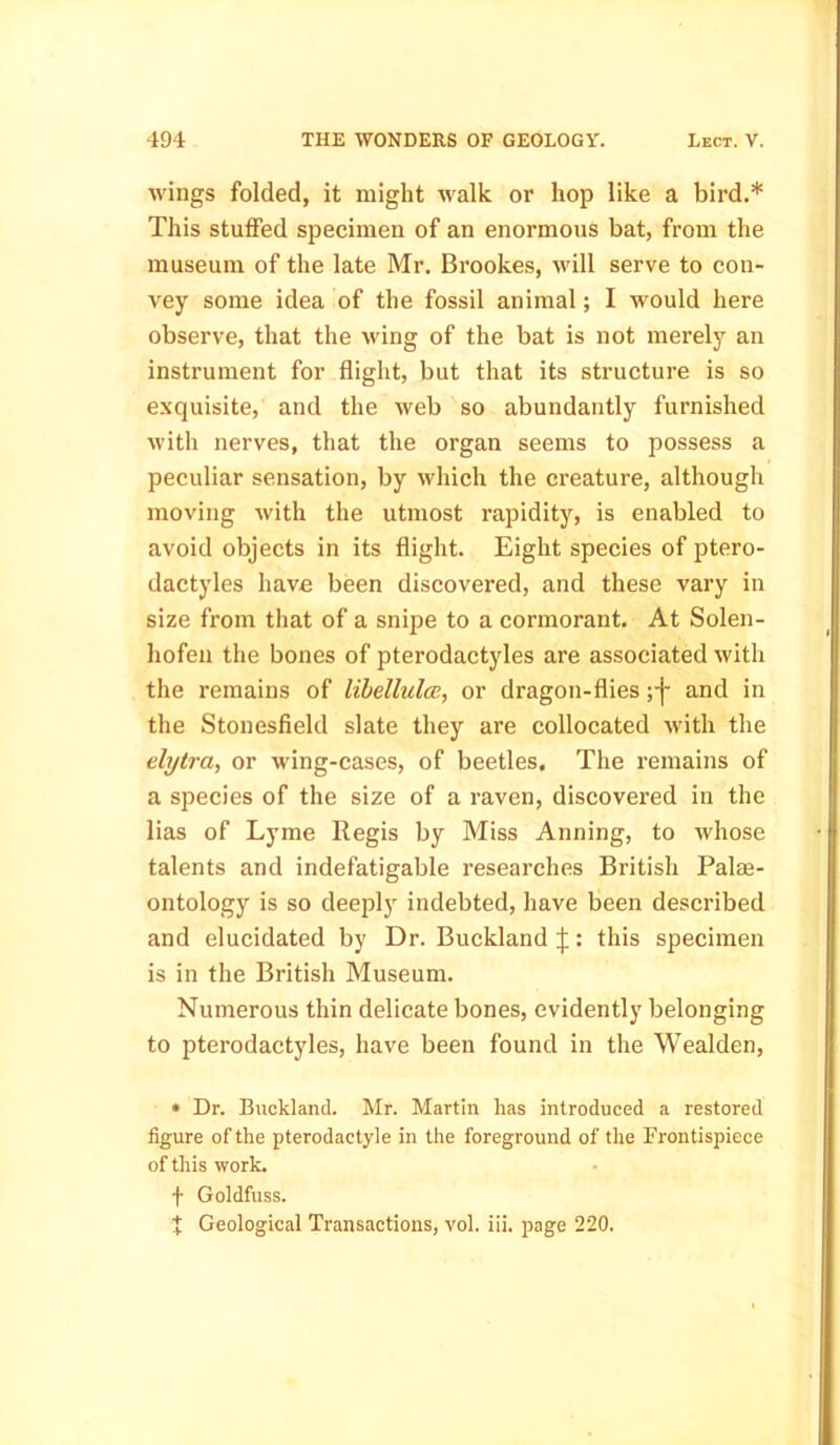 wings folded, it might walk or hop like a bird.* This stuffed specimen of an enormous bat, from the museum of the late Mr. Brookes, will serve to con- vey some idea of the fossil animal; I would here observe, that the wing of the bat is not merely an instrument for flight, but that its structure is so exquisite, and the web so abundantly furnished with nerves, that the organ seems to possess a peculiar sensation, by which the creature, although moving with the utmost rapidity, is enabled to avoid objects in its flight. Eight species of ptero- dactyles have been discovered, and these vary in size from that of a snipe to a cormorant. At Solen- hofen the bones of pterodactyles are associated with the remains of libellulce, or dragon-flies ;-j- and in the Stonesfield slate they are collocated with the elytra, or wing-cases, of beetles. The remains of a species of the size of a raven, discovered in the lias of Lyme Regis by Miss Anning, to whose talents and indefatigable researches British Palae- ontology is so deeply indebted, have been described and elucidated by Dr. Buckland j;: this specimen is in the British Museum. Numerous thin delicate bones, evidently belonging to pterodactyles, have been found in the Wealden, * Dr. Buckland. Mr. Martin has introduced a restored figure of the pterodactyle in the foreground of the Frontispiece of this work. f Goldfuss. t Geological Transactions, vol. iii. page 220.