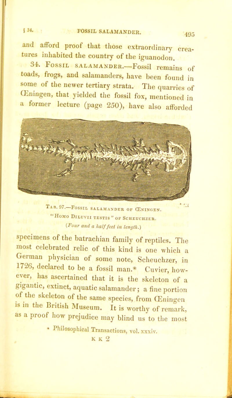 493 and afford proof that those extraordinary crea- tures inhabited the country of the iguanodon. 34. Fossil salamander.—Fossil remains of toads, frogs, and salamanders, have been found in some of the newer tertiary strata. The quarries of CEningen, that yielded the fossil fox, mentioned in a former lecture (page 250), have also afforded Tab. 97. Fossil salamander of CEningen. ' HoMo DlLUVII TESTIS ” OF SCIIEUCIIZER. (Four and a half feet in length.) specimens of the batrachian family of reptiles. The most celebrated relic of this kind is one which a Geiman physician of some note, Scheuchzer, in 1726, declared to be a fossil man* Cuvier, how- ever, has ascertained that it is the skeleton of a gigantic, extinct, aquatic salamander; a fine portion of the skeleton of the same species, from CEningen is in the British Museum. It is worthy of remark, as a proof how prejudice may blind us to the most * Philosophical Transactions, vol. xxxiv. K K 2