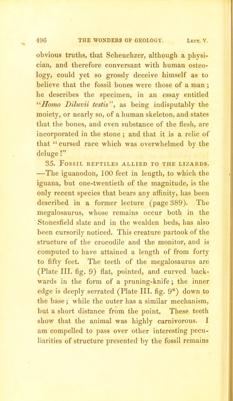 obvious truths, that Scheuchzer, although a physi- cian, and therefore conversant with human osteo- logy, could yet so grossly deceive himself as to believe that the fossil bones were those of a man ; he describes the specimen, in an essay entitled “Homo Diluvii testis”, as being indisputably the moiety, or nearly so, of a human skeleton, and states that the bones, and even substance of the flesh, are incorporated in the stone ; and that it is a relic of that “ cursed race which was overwhelmed by the deluge I” 35. Fossil reptiles allied to the lizards. —The iguanodon, 100 feet in length, to which the iguana, but one-twentieth of the magnitude, is the only recent species that bears any affinity, has been described in a former lecture (page 389). The megalosaurus, whose remains occur both in the Stonesfield slate and in the wealden beds, has also been cursorily noticed. This creature partook of the structure of the crocodile and the monitor, and is computed to have attained a length of from forty to fifty feet. The teeth of the megalosaurus are (Plate III. fig. 9) flat, pointed, and curved back- wards in the form of a pruning-knife; the inner edge is deeply serrated (Plate III. fig. 9*) down to the base; while the outer has a similar mechanism, but a short distance from the point. These teeth show that the animal was highly carnivorous. I am compelled to pass over other interesting pecu- liarities of structure presented by the fossil remains