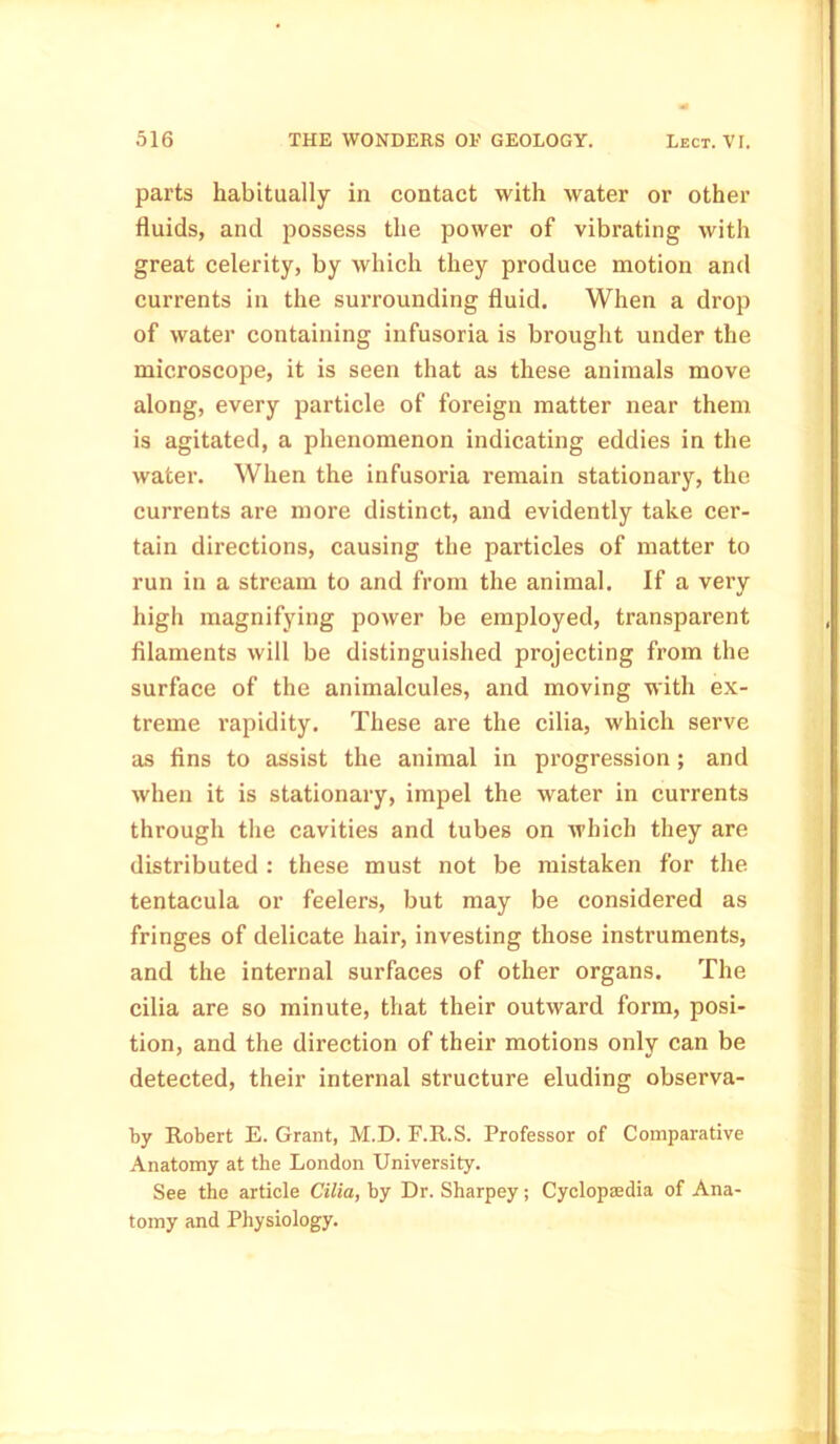 parts habitually in contact with water or other fluids, and possess the power of vibrating with great celerity, by which they produce motion and currents in the surrounding fluid. When a drop of water containing infusoria is brought under the microscope, it is seen that as these animals move along, every particle of foreign matter near them is agitated, a phenomenon indicating eddies in the water. When the infusoria remain stationary, the currents are more distinct, and evidently take cer- tain directions, causing the particles of matter to run in a stream to and from the animal. If a very high magnifying power be employed, transparent filaments will be distinguished projecting from the surface of the animalcules, and moving with ex- treme rapidity. These are the cilia, which serve as fins to assist the animal in progression; and when it is stationary, impel the water in currents through the cavities and tubes on which they are distributed : these must not be mistaken for the tentacula or feelers, but may be considered as fringes of delicate hair, investing those instruments, and the internal surfaces of other organs. The cilia are so minute, that their outward form, posi- tion, and the direction of their motions only can be detected, their internal structure eluding observa- by Robert E. Grant, M.D. F.R.S. Professor of Comparative Anatomy at the London University. See the article Cilia, by Dr. Sharpey; Cyclopaedia of Ana- tomy and Physiology.