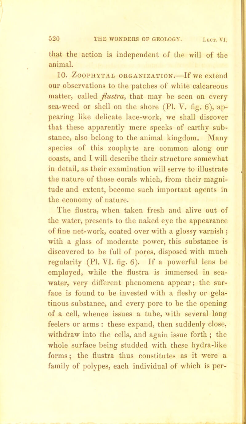 that the action is independent of the will of the animal. 10. Zoophytal organization.—If we extend our observations to the patches of white calcareous matter, called flustra, that may be seen on every sea-weed or shell on the shore (PI. V. fig. 6), ap- pearing like delicate lace-work, we shall discover that these apparently mere specks of earthy sub- stance, also belong to the animal kingdom. Many species of this zoophyte are common along our coasts, and I will describe their structure somewhat in detail, as their examination will serve to illustrate the nature of those corals which, from their magni- tude and extent, become such important agents in the economy of nature. The flustra, when taken fresh and alive out of the water, presents to the naked eye the appearance of fine net-work, coated over with a glossy varnish ; with a glass of moderate power, this substance is discovered to be full of pores, disposed with much regularity (PI. VI. fig. 6). If a powerful lens be employed, while the flustra is immersed in sea- water, very different phenomena appear; the sur- face is found to be invested with a fleshy or gela- tinous substance, and every pore to be the opening of a cell, whence issues a tube, with several long feelers or arms : these expand, then suddenly close, withdraw into the cells, and again issue forth ; the whole surface being studded with these hydra-like forms; the flustra thus constitutes as it were a family of polypes, each individual of which is per-