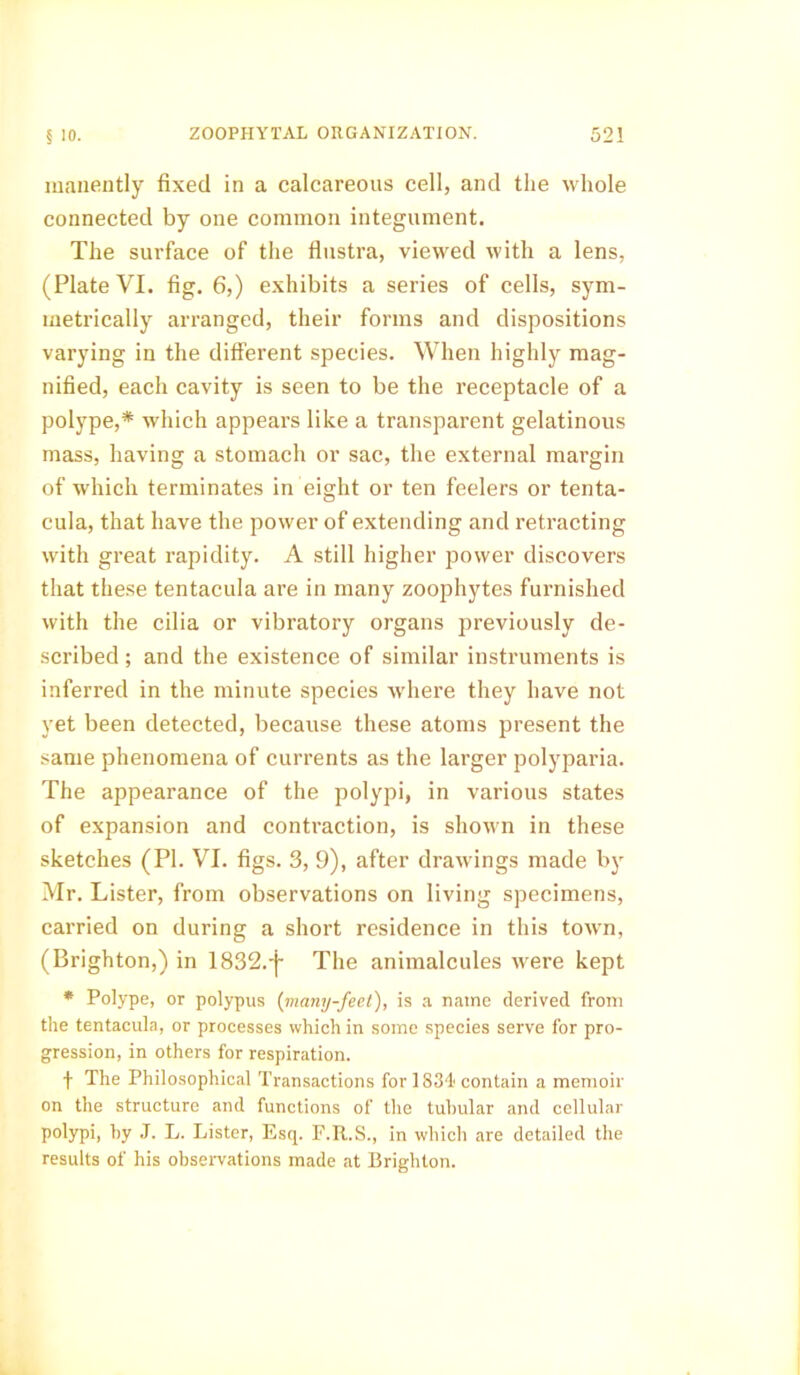 manently fixed in a calcareous cell, and the whole connected by one common integument. The surface of the flustra, viewed with a lens, (Plate VI. fig. 6,) exhibits a series of cells, sym- metrically arranged, their forms and dispositions varying in the different species. When highly mag- nified, each cavity is seen to be the receptacle of a polype,* which appears like a transparent gelatinous mass, having a stomach or sac, the external margin of which terminates in eight or ten feelers or tenta- cula, that have the power of extending and retracting with great rapidity. A still higher power discovers that these tentacula are in many zoophytes furnished with the cilia or vibratory organs previously de- scribed ; and the existence of similar instruments is inferred in the minute species where they have not yet been detected, because these atoms present the same phenomena of currents as the larger polyparia. The appearance of the polypi, in various states of expansion and contraction, is shown in these sketches (PI. VI. figs. 3, 9), after drawings made by Mr. Lister, from observations on living specimens, carried on during a short residence in this town, (Brighton,) in 1832.-)- The animalcules were kept * Polype, or polypus (many-feet), is a name derived from the tentacula, or processes which in some species serve for pro- gression, in others for respiration. t The Philosophical Transactions for 1834 contain a memoir on the structure and functions of the tubular and cellular polypi, by J. L. Lister, Esq. F.R.S., in which are detailed the results of his observations made at Brighton.