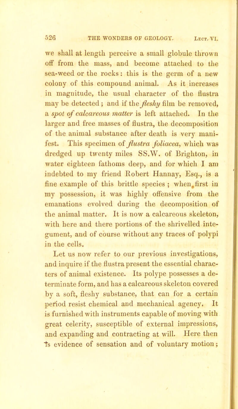 we shall at length perceive a small globule thrown off from the mass, and become attached to the sea-weed or the rocks: this is the germ of a new colony of this compound animal. As it increases in magnitude, the usual character of the flustra may be detected ; and if the fleshy film be removed, a spot of calcareous matter is left attached. In the larger and free masses of flustra, the decomposition of the animal substance after death is very mani- fest. This specimen of flustra foliacea, which was dredged up twenty miles SS.W. of Brighton, in water eighteen fathoms deep, and for which I am indebted to my friend Robert Hannay, Esq., is a fine example of this brittle species ; when^first in my possession, it was highly offensive from the emanations evolved during the decomposition of the animal matter. It is now a calcareous skeleton, with here and there portions of the shrivelled inte- gument, and of course without any traces of polypi in the cells. Let us now refer to our previous investigations, and inquire if the flustra present the essential charac- ters of animal existence. Its polype possesses a de- terminate form, and has a calcareous skeleton covered by a soft, fleshy substance, that can for a certain period resist chemical and mechanical agency. It is furnished with instruments capable of moving with great celerity, susceptible of external impressions, and expanding and contracting at will. Here then ts evidence of sensation and of voluntary motion;