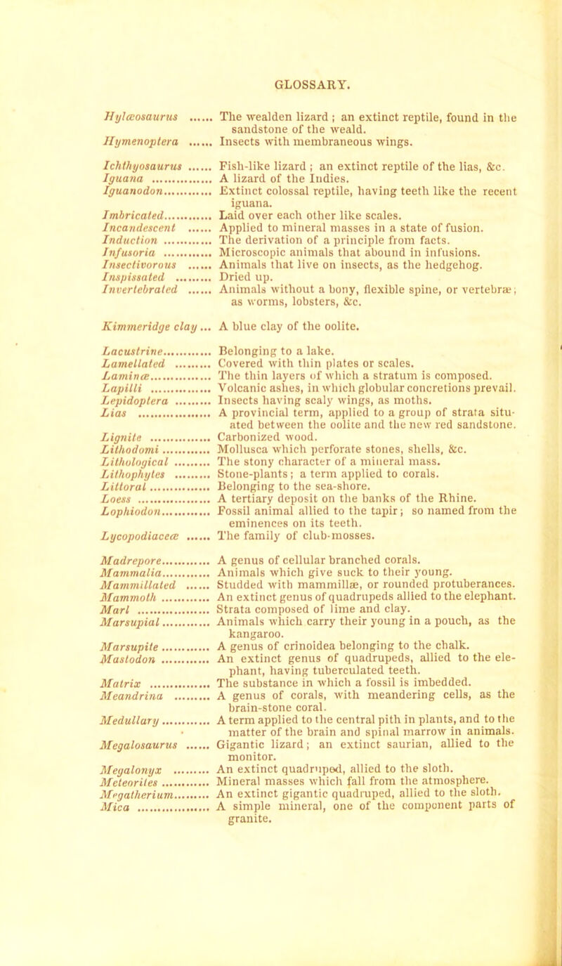 Hylceosaurus The wealden lizard ; an extinct reptile, found in the sandstone of the weald. Hymenoptera Insects with membraneous wings. Ichthyosaurus Fish-like lizard ; an extinct reptile of the lias, &c. Iguana A lizard of the Indies. Iguanodon Extinct colossal reptile, having teeth like the recent iguana. Imbricated Laid over each other like scales. Incandescent Applied to mineral masses in a state of fusion. Induction The derivation of a principle from facts. Infusoria Microscopic animals that abound in infusions. Insectivorous Animals that live on insects, as the hedgehog. Inspissated Dried up. Invertebrated Animals without a bony, flexible spine, or vertebra;; as worms, lobsters, &c. Kimmeridge clay... A blue clay of the oolite. Lacustrine Belonging to a lake. Lamellated Covered with thin plates or scales. Laminte The thin layers of which a stratum is composed. Lapilli Volcanic ashes, in which globular concretions prevail. Lepidoptera Insects having scaly wings, as moths. Lias A provincial term, applied to a group of strata situ- ated between the oolite and the new red sandstone. Lignite Carbonized wood. Lilhodomi Mollusca which perforate stones, shells, &c. Lithological The stony character of a mineral mass. Lithophytes Stone-plants; a term applied to corals. Littoral Belonging to the sea-shore. Loess A tertiary deposit on the banks of the Rhine. Lophiodon Fossil animal allied to the tapir; so named from the eminences on its teeth. Lycopodiaccce The family of club-mosses. Madrepore A genus of cellular branched corals. Mammalia Animals which give suck to their young. Mammillated Studded with mammillse, or rounded protuberances. Mammoth An extinct genus of quadrupeds allied to the elephant. Marl Strata composed of lime and clay. Marsupial Animals which carry their young in a pouch, as the kangaroo. Marsupite A genus of crinoidea belonging to the chalk. Mastodon An extinct genus of quadrupeds, allied to the ele- phant, having tuberculated teeth. Matrix The substance in which a fossil is imbedded. Meandrina A genus of corals, with meandering cells, as the brain-stone coral. Medullary A term applied to the central pith in plants, and to the matter of the brain and spinal marrow in animals. Megalosaurus Gigantic lizard; an extinct saurian, allied to the monitor. Megalonyx An extinct quadruped, allied to the sloth. Meteorites Mineral masses which fall from the atmosphere. Megatherium An extinct gigantic quadruped, allied to the sloth. Mica A simple mineral, one of the component parts of granite.