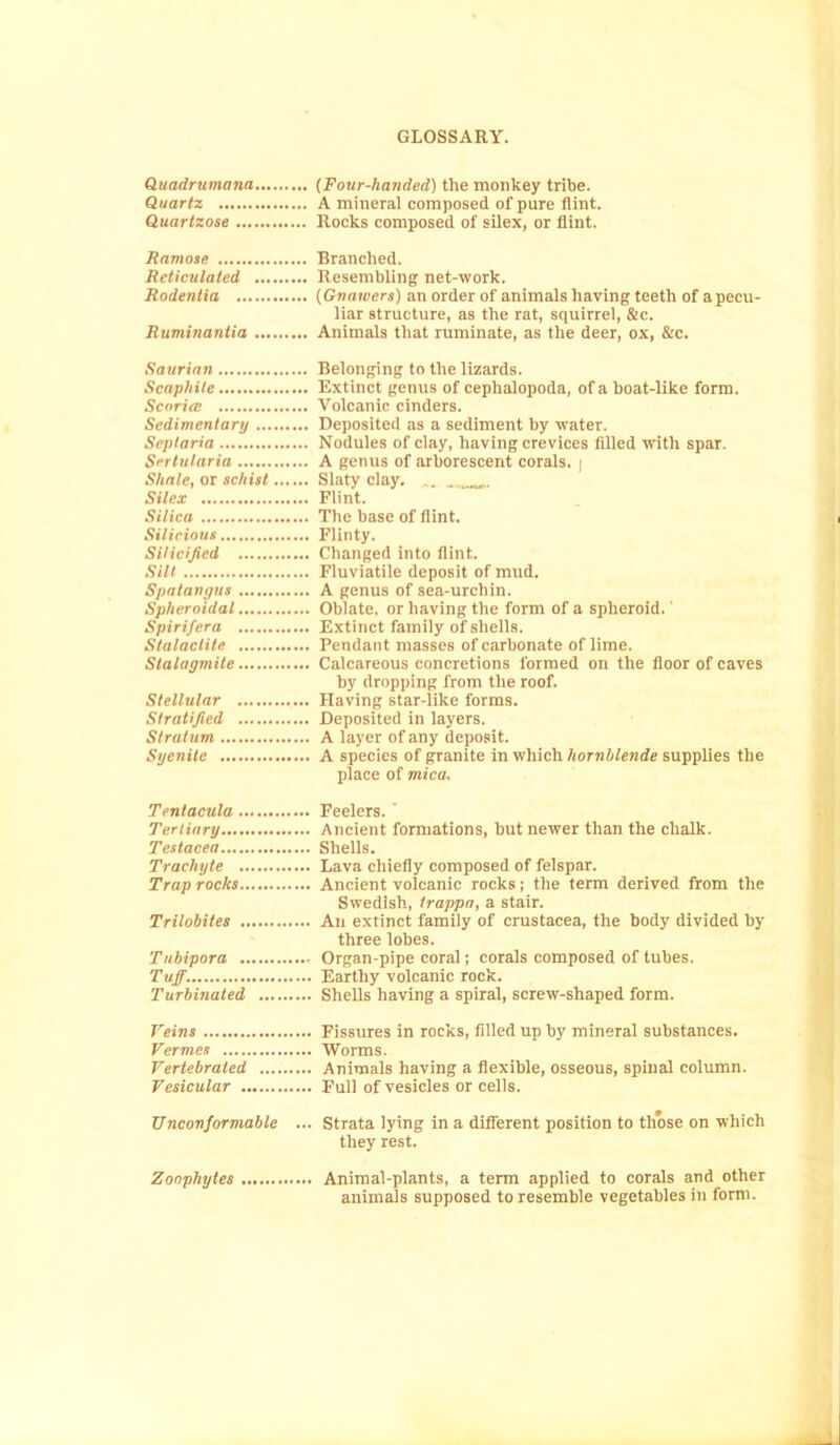 Quadrumana (Four-handed) the monkey tribe. Quartz A mineral composed of pure flint. Quarlzose Rocks composed of silex, or flint. Ramose Branched. Reticulated, Resembling net-work. Rodentia (Gnawers) an order of animals having teeth of a pecu- liar structure, as the rat, squirrel, &c. Ruminantia Animals that ruminate, as the deer, ox, &c. Saurian Belonging to the lizards. Scaphite Extinct genus of cephalopoda, of a boat-like form. Sconce Volcanic cinders. Sedimentary Deposited as a sediment by water. Septaria Nodules of clay, having crevices filled with spar. Sertularia A genus of arborescent corals. | Shale, or schist Slaty clay. ... _ Silex Flint. Silica The base of flint. Silicinus Flinty. Silicified Changed into flint. Sill Fluviatile deposit of mud. Spatangus A genus of sea-urchin. Spheroidal Oblate, or having the form of a spheroid.' Spirifera Extinct family of shells. Stalactite Pendant masses of carbonate of lime. Stalagmite Calcareous concretions formed on the floor of caves by dropping from the roof. Stellular Having star-like forms. Stratified Deposited in layers. Stratum A layer of any deposit. Syenite A species of granite in which hornblende supplies the place of mica, Tentacula Feelers. Tertiary Ancient formations, but newer than the chalk. Testacea Shells. Trachyte Lava chiefly composed of felspar. Trap rocks Ancient volcanic rocks; the term derived from the Swedish, trappa, a stair. Trilobites An extinct family of Crustacea, the body divided by three lobes. Tubipora Organ-pipe coral; corals composed of tubes. Tuff. Earthy volcanic rock. Turbinated Shells having a spiral, screw-shaped form. Veins Fissures in rocks, filled up by mineral substances. Vermes Worms. Vertebrated Animals having a flexible, osseous, spinal column. Vesicular Full of vesicles or cells. Unconformable ... Strata lying in a different position to those on which they rest. Zoophytes Animal-plants, a term applied to corals and other animals supposed to resemble vegetables in form.