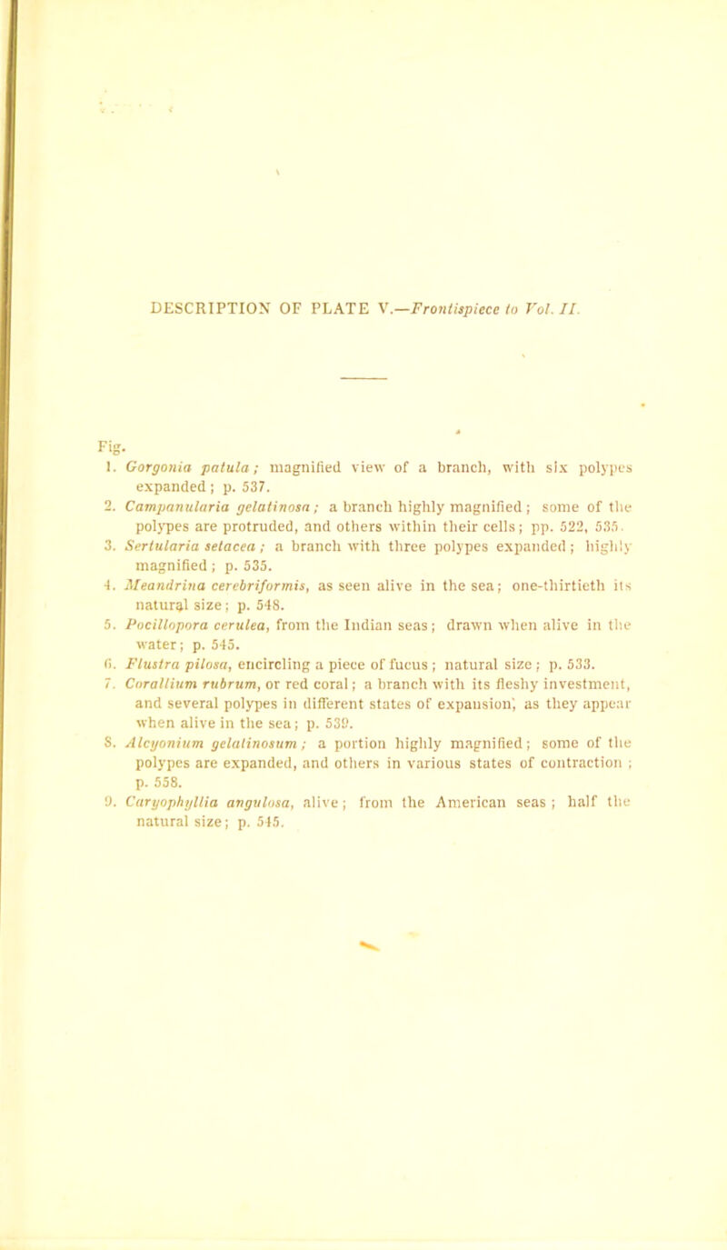 Fig. 1. Gorgonia patula; magnified view of a branch, with six polypes expanded; p. 537. 2. Campanularia gelutinosn; a branch highly magnified ; some of the polypes are protruded, and others within their cells; pp. 522, 535. 3. Serlularia setacea ; a branch with three polypes expanded ; highly magnified; p. 535. 4. Meandrina cerebriformis, as seen alive in the sea; one-thirtieth its natural size; p. 548. 5. Pocillopora cerulea, from the Indian seas; drawn when alive in the water; p. 545. <i. Flustra pilosa, encircling a piece of fucus ; natural size ; p. 533. 7 Cnrallium rubrum, or red coral; a branch with its fleshy investment, and several polypes in different states of expansion', as they appear when alive in the sea; p. 539. S. Alcyonium gelalinosum; a portion highly magnified; some of the polypes are expanded, and others in various states of contraction ; p. 558. 9. Caryophyllia avgtilosa, alive; from the American seas ; half the natural size; p. 545.