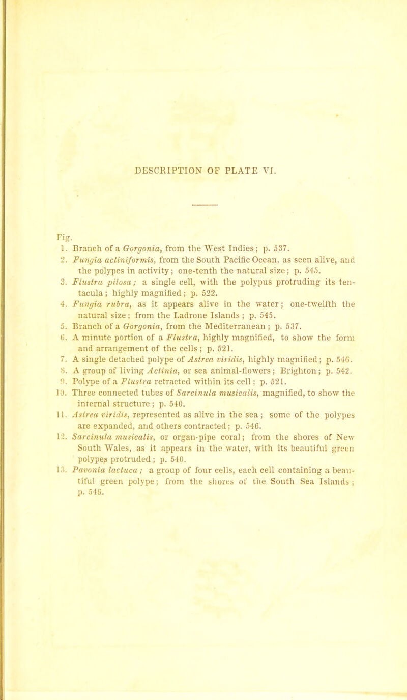 Fig. 3. Branch of a Gorgonia, from the West Indies; p. 537. 2. Fungia acliniformis, from the South Pacific Ocean, as seen alive, and the polypes in activity; one-tenth the natural size; p. 545. 3. Flustra pilosa; a single cell, with the polypus protruding its ten- tacula ; highly magnified ; p. 522. 4. Fungia rubra, as it appears alive in the water; one-twelfth the natural size: from the Ladrone Islands ; p. 545. 5. Branch of a Gorgonia, from the Mediterranean ; p. 537. 6. A minute portion of a Flustra, highly magnified, to show the form and arrangement of the cells ; p. 521. 7. A single detached polype of Astrea viridis, highly magnified; p. 54G. 8. A group of living Actinia, or sea animal-flowers; Brighton; p. 542. 0. Polype of a FLustra retracted within its cell; p. 521. 10. Three connected tubes of Sarcinula musicalis, magnified, to show the internal structure ; p. 540. 11. Astrea viridis, represented as alive in the sea; some of the polypes are expanded, and others contracted; p. 54G. 12. Sarcinula musicalis, or organ-pipe coral; from the shores of New South Wales, as it appears in the water, with its beautiful green polype;? protruded ; p. 540. 13. Pavonia lactuca; a group of four cells, each cell containing a beau- tiful green polype; from the shores ot' the South Sea Islands; p. 546.
