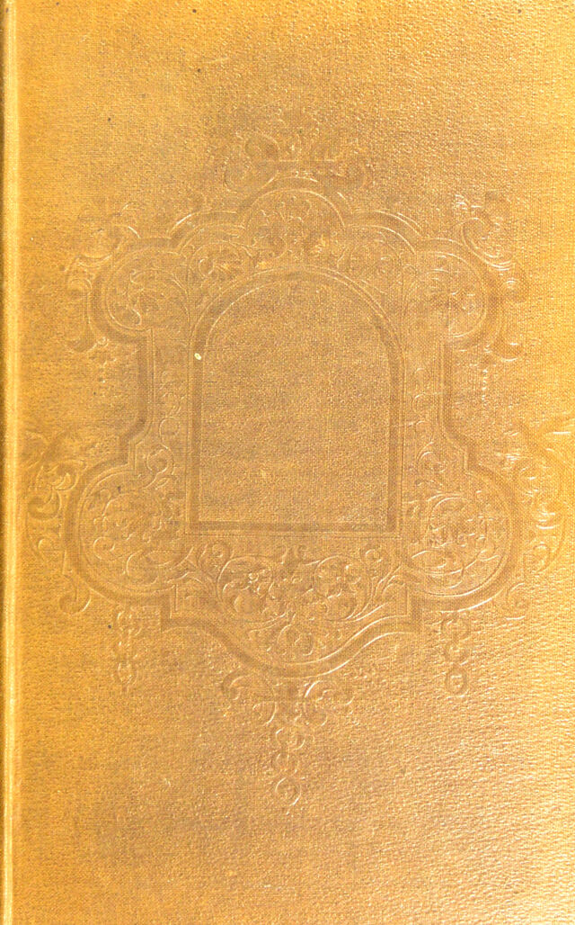 No text description is available for this image