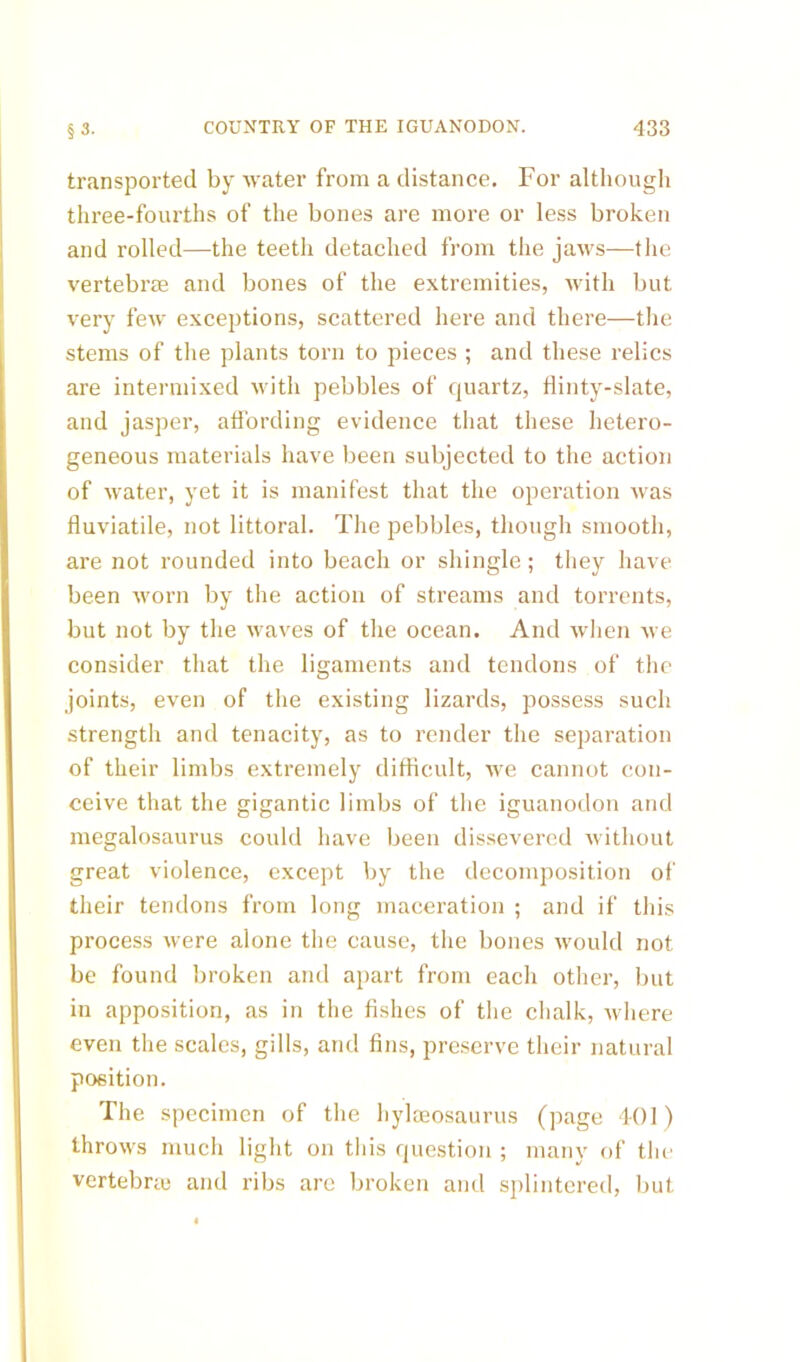 transported by water from a distance. For although three-fourths of the bones are more or less broken and rolled—the teeth detached from the jaws—the vertebrae and bones of the extremities, with but very few exceptions, scattered here and there—the stems of the plants torn to pieces ; and these relics are intermixed with pebbles of quartz, flinty-slate, and jasper, affording evidence that these hetero- geneous materials have been subjected to the action of water, yet it is manifest that the operation was fluviatile, not littoral. The pebbles, though smooth, are not rounded into beach or shingle; they have been worn by the action of streams and torrents, but not by the waves of the ocean. And when we consider that the ligaments and tendons of the joints, even of the existing lizards, possess such strength and tenacity, as to render the separation of their limbs extremely difficult, we cannot con- ceive that the gigantic limbs of the iguanodon and megalosaurus could have been dissevered without great violence, except by the decomposition of their tendons from long maceration ; and if this process were alone the cause, the bones would not be found broken and apart from each other, but in apposition, as in the fishes of the chalk, where even the scales, gills, and fins, preserve their natural position. The specimen of the hylaeosaurus (page 401) throws much light on this question ; many of the vertebra} and ribs arc broken and splintered, but