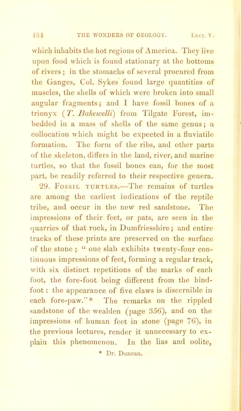 -1S4 THE WONDERS OF GEOLOGY. Lect. V. which inhabits the hot regions of America. They live upon food which is found stationary at the bottoms of rivers ; in the stomachs of several procured from the Ganges, Col. Sykes found large quantities of muscles, the shells of which were broken into small angular fragments; and I have fossil bones of a trionyx (I\ JBakewelli) from Tilgate Forest, im- bedded in a mass of shells of the same genus; a collocation which might be expected in a fluviatile formation. The form of the ribs, and other parts of the skeleton, differs in the land, river, and marine turtles, so that the fossil bones can, for the most part, be readily referred to their respective genera. 29. Fossil turtles.—The remains of turtles are among the earliest indications of the reptile tribe, and occur in the new red sandstone. The impressions of their feet, or pats, are seen in the quarries of that rock, in Dumfriesshire; and entire tracks of these prints are preserved on the surface of the stone ; “ one slab exhibits twenty-four con- tinuous impressions of feet, forming a regular track, with six distinct repetitions of the marks of each foot, the fore-foot being different from the hind- foot : the appearance of five claws is discernible in each fore-paw.”* The remarks on the rippled sandstone of the wealden (page 356), and on the impressions of human feet in stone (page 76), in the previous lectures, render it unnecessary to ex- plain this phenomenon. In the lias and oolite,