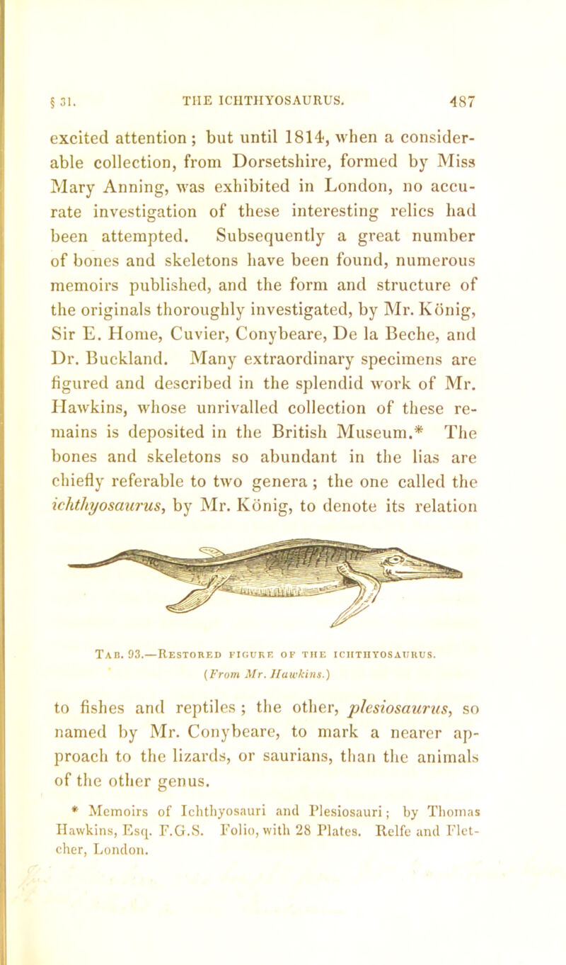 excited attention ; but until 1814, when a consider- able collection, from Dorsetshire, formed by Miss Mary Anning, was exhibited in London, no accu- rate investigation of these interesting relics had been attempted. Subsequently a great number of bones and skeletons have been found, numerous memoirs published, and the form and structure of the originals thoroughly investigated, by Mr. Konig, Sir E. Home, Cuvier, Conybeare, De la Beche, and Dr. Buckland. Many extraordinary specimens are figured and described in the splendid work of Mr. Hawkins, whose unrivalled collection of these re- mains is deposited in the British Museum.* The bones and skeletons so abundant in the lias are chiefly referable to two genera ; the one called the ichthyosaurus, by Mr. Konig, to denote its relation Tab. 93.—Restored figure of the ichthyosaurus. (From Mr. Hawkins.) to fishes and reptiles ; the other, plesiosaurus, so named by Mr. Conybeare, to mark a nearer ap- proach to the lizards, or saurians, than the animals of the other genus. * Memoirs of Ichthyosauri and Plesiosauri; by Thomas Hawkins, Esq. F.G.S. Folio, with 28 Plates. Relfe and Flet- cher, London.