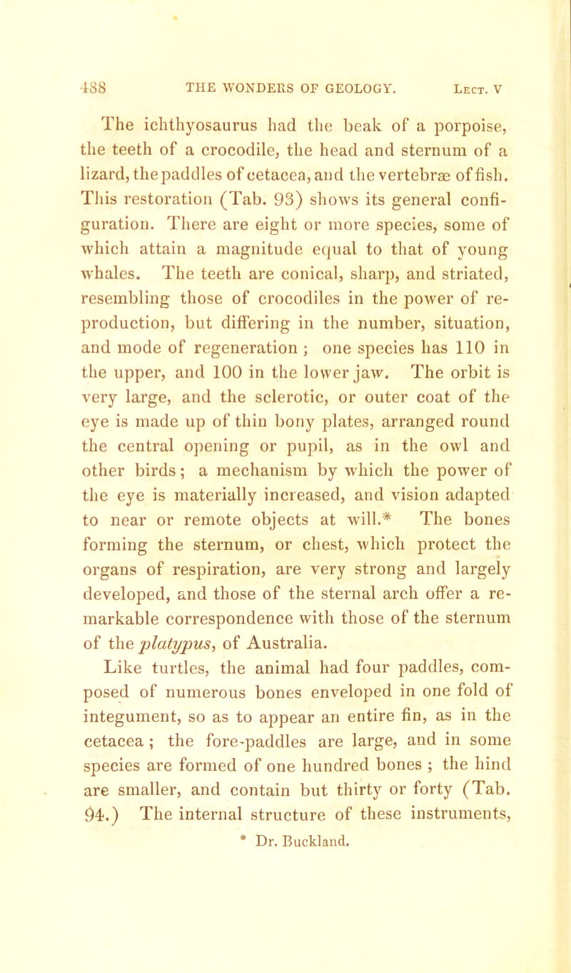 The ichthyosaurus had the beak of a porpoise, the teeth of a crocodile, the head and sternum of a lizard, the paddles of cetacea, and the vertebrae of fish. This restoration (Tab. 93) shows its general confi- guration. There are eight or more species, some of which attain a magnitude equal to that of young whales. The teeth are conical, sharp, and striated, resembling those of crocodiles in the power of re- production, but differing in the number, situation, and mode of regeneration ; one species has 110 in the upper, and 100 in the lower jaw. The orbit is very large, and the sclerotic, or outer coat of the eye is made up of thin bony plates, arranged round the central opening or pupil, as in the owl and other birds; a mechanism by which the power of the eye is materially increased, and vision adapted to near or remote objects at will.* The bones forming the sternum, or chest, which protect the organs of respiration, are very strong and largely developed, and those of the sternal arch offer a re- markable correspondence with those of the sternum of the platypus, of Australia. Like turtles, the animal had four paddles, com- posed of numerous bones enveloped in one fold of integument, so as to appear an entire fin, as in the cetacea; the fore-paddles are large, and in some species are formed of one hundred bones ; the hind are smaller, and contain but thirty or forty (Tab. 94.) The internal structure of these instruments,