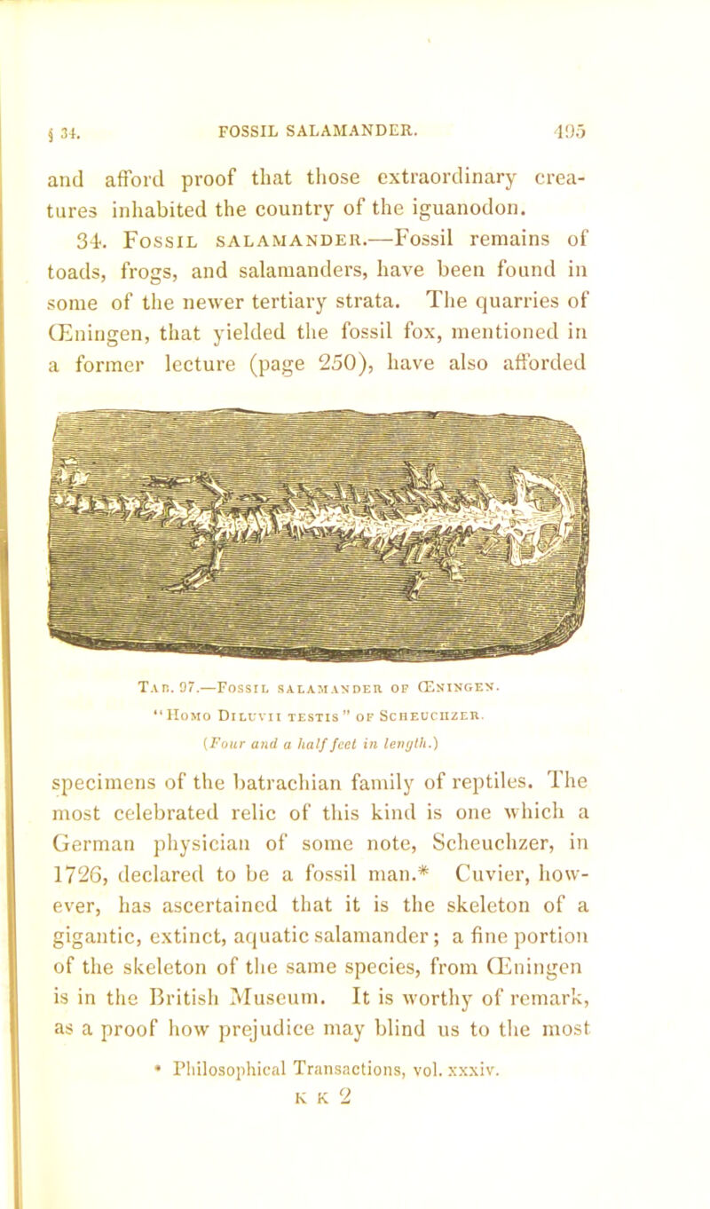 FOSSIL SALAMANDER. 405 § 31. and afford proof that those extraordinary crea- tures inhabited the country of the iguanodon. 34. Fossil salamander.—Fossil remains of toads, frogs, and salamanders, have been found in some of the newer tertiary strata. The quarries of (Eningen, that yielded the fossil fox, mentioned in a former lecture (page 250), have also afforded Tar. 97.—Fossil salamander of (Eningen. “ Homo Diluvii testis ” of Scheuciizer. (Four and a half feet in length.) specimens of the batrachian family of reptiles. The most celebrated relic of this kind is one which a German physician of some note, Scheuciizer, in 1726, declared to be a fossil man.* Cuvier, how- ever, has ascertained that it is the skeleton of a gigantic, extinct, aquatic salamander; a fine portion of the skeleton of the same species, from CEningen is in the British Museum. It is worthy of remark, as a proof how prejudice may blind us to the most ♦ Philosophical Transactions, vol. xxxiv.