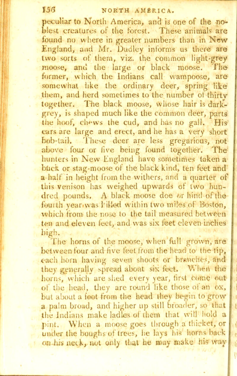 peculiar to North America, ancl is one of the no- blest creatures of the forest. These animals are found no where in greater numbers than in New England, and Mr. Dudley informs us there are two sorts of them, viz. the common light-grey moose, and the large or black moose. The former, which the Indians call wampoose, are somewhat like the ordinary deer, spring like them, and herd sometimes to the number of thirtv together. The black moose, whose hair is dark- grey, is shaped much like the common deer, parts the hoof, ch**ws the cud, and has no gall. His cars are large and erect, and he has a very short bob-tail. These deer are less gregarious, not above four or live being found together. The hunters in New England have sometimes taken a buck or stag-moose of the black kind, ten feet and a half in height from the withers, and a quarter of this venison has weighed upwards of two hun- dred pounds. A black moose doe or hind of the fourth year.was filled within two miles of Boston, which from the nose to the tail measured between ten and eleven feet, and was six feet eleven inches high. The horns of the moose, when full grown, are between four and live feet from the head to the tip, each horn having seven shoots or branches, and they generally spread about six feet. When the horns, which are shed every year, first come out i of the head, they are round like those of an ox, \ but about a foot from the head they begin to grow a palm broad, and higher up still broader, so that || the Indians make ladles o( them that will hold a pint. When a moose goes through a thicket, or <; under the boughs of trees, he lays his horns back p on-his neck, not only that he may make his way