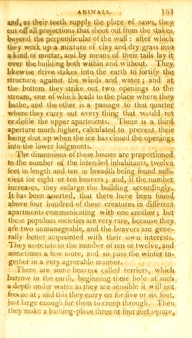 and, as their-teeth supply the place of saws, they cut off all projections that shoot out from the stakes beyond the perpendicular of the wall: after which they work up a mixture of clay and dry grass into a kind ol mortar, and by means of their tails lay it over the building both within and without. They likewise drive stakes into the earth to fortify the; structure against the winds and water ; and at the bottom they strike out two openings to the stream, one of which leads to the place where they, bathe, and the other is a passage to that quarter where they carry out every thing that ’would rot or defile the upper apartments. There is a third aperture much higher, calculated to prevent their being shut up when the ice has closed the openings into die lower lodgments. The dimensions of these houses are proportioned to the number of the intended inhabitants, twelve feet in length and ten in breadth being found suHi— cient lor eight or ten beavers; and, if the number increases, they enlarge the building accordingly.. It has been assorted, that there have been found above four hundred of these creatures in different apartments communicating with one another; but these populous societies are very rare, because they are two unmanageable, and the beavers are gene- rally better acquainted with their own interests. They associate to the number often or twelve, and sometimes a few more, and so pass the winter to- gether in a very agreeable manner. There are some beavers called terriers, which burrovy in the earth, beginning their hole at such a depth under water as they are sensible it will not freeze at; and this they curry on for five or six feet, just large enough for them to creep through. Then they make a bathing-plate three or fourdeot square.