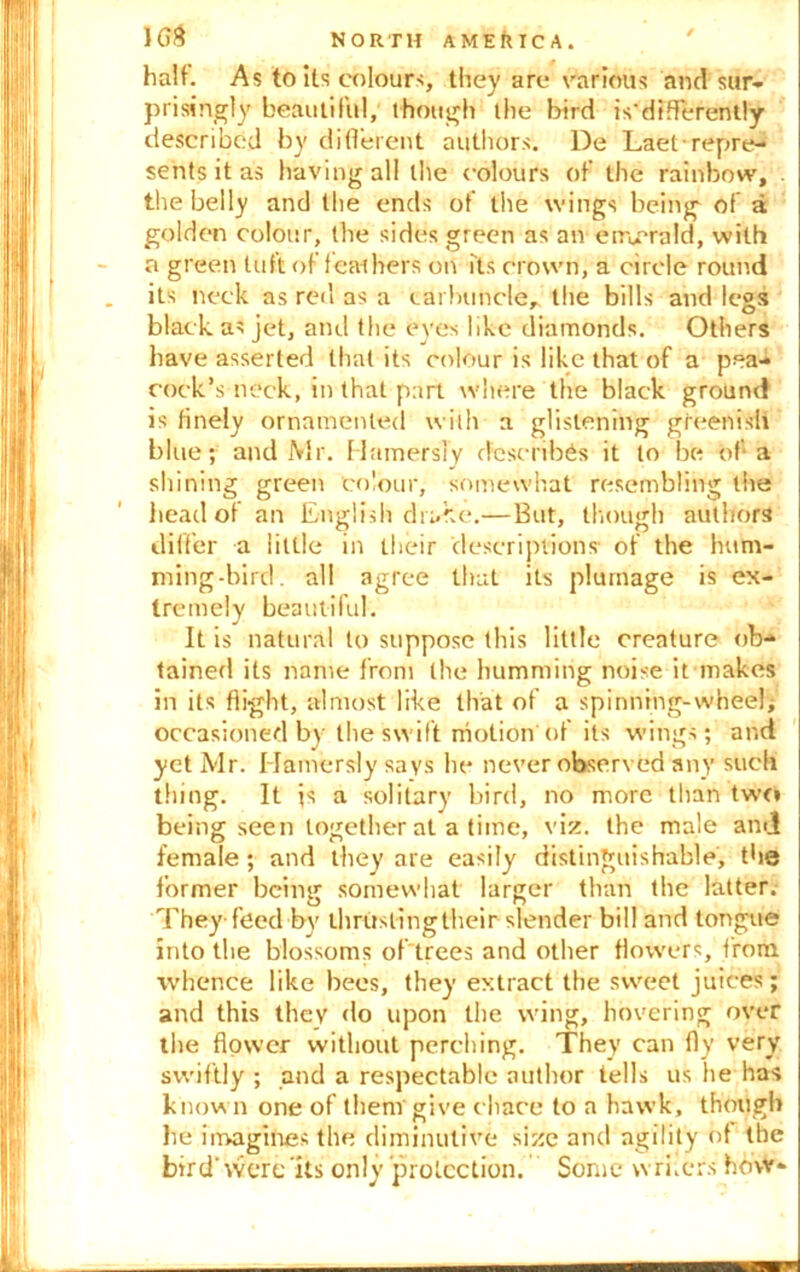 1G# NORTH A ME ftIC A. half. As to its colours, they are various and sur- prisingly beautiful, though the bird is’differently described by different authors. l)e Laet repre- sents it as having all the colours of the rainbow, . the belly and the ends of the wings being of a golden colour, the sides green as an emerald, with a green tuft of leathers on its crown, a circle round its neck as red as a carbuncle, the bills and legs black as jet, and the eyes like diamonds. Others have asserted that its colour is like that of a pea- cock’s neck, in that part where the black ground is finely ornamented with a glistening greenish blue; and Mr. HamersTy describes it to be of a shining green colour, somewhat resembling the head of an English drake.—But, though authors differ a little in their descriptions- of the hum- ming-bird. all agree that its plumage is ex- tremely beautiful-. It is natural to suppose this little creature ob- tained its name from the humming noise it makes in its flight, almost like that of a spinning-wheel; occasioned by the swift motion of its wings; and yet Mr. Hamersly says he never observed any such thing. It js a solitary bird, no more than two being seen together at a time, viz. the male and female ; and they are easily distinguishable, the former being somewhat larger than the latter. They feed by thrustingtheir slender bill and tongue into the blossoms of trees and other flowers, from whence like bees, they extract the sweet juices; and this they do upon the wing, hovering over the flower without perching. They can fly very swiftly ; and a respectable author tells us he has known one of them give chace to a hawk, though lie imagines the diminutive size and agility of the bird'were'its only protection. Some writers how-