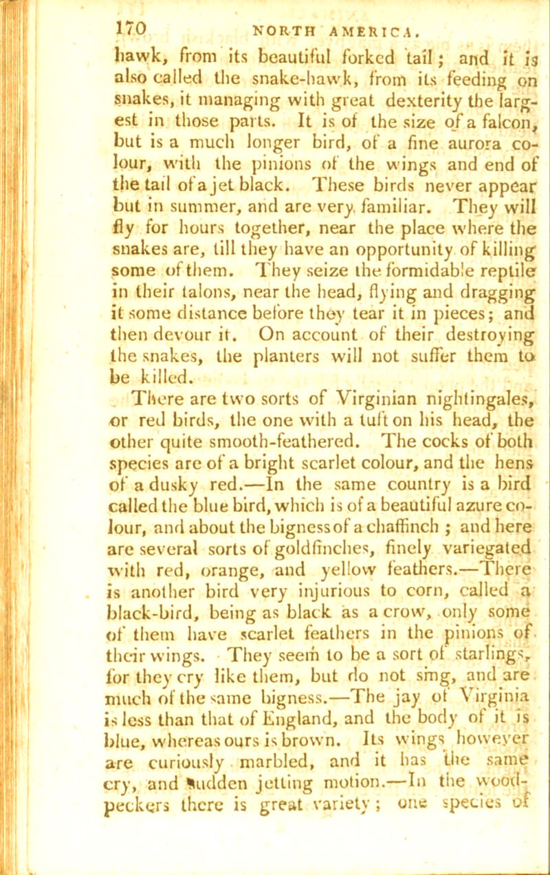 liawk, from its beautiful forked tail; and it is also called the snake-hawk, from its feeding on snakes, it managing with great dexterity the larg- est in those parts. It is of the size of a falcon, but is a much longer bird, of a fine aurora co- lour, with the pinions of the wings and end of the tail of a jet black. These birds never appear but in summer, and are very, familiar. They will fly for hours together, near the place where the snakes are, till they have an opportunity of killing some of them. They seize the formidable reptile in their talons, near the head, flying and dragging it some distance before they tear it in pieces; and then devour it. On account of their destroying the snakes, the planters will not suffer them to be killed. There are two sorts of Virginian nightingales, or red birds, the one with a tuft on his head, the other quite smooth-feathered. The cocks of both species are of a bright scarlet colour, and the hens of a dusky red.—In the same country is a bird called the blue bird, which is of a beautiful azure co- lour, and about the bigness of a chaffinch ; and here are several sorts of goldfinches, finely variegated with red, orange, and yellow feathers.—There is another bird very injurious to corn, called a black-bird, being as black as a crow, only some of them have scarlet feathers in the pinions of their wings. They seem to be a sort ol starlings, for they cry like them, but do not sing, and are much of the same bigness.—The jay ot Virginia is less than that of England, and the body ot it is blue, whereas ours is brown. Its wings however are curiously marbled, and it has the same cry, and Sudden jetting motion.—In the wood- peckers there is great variety; one species of