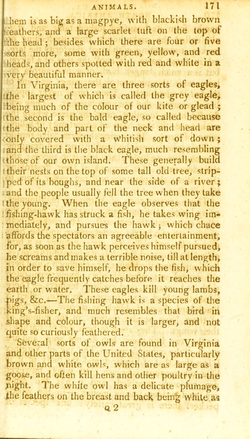 hem is as big as a magpye, with blackish brown ieeaihers, and a large scarlet tuft on the top ot •ths head; besides which there are four or five sorts more, some with green, yellow, and red heads, and others spotted with red and white in a very beautiful manner. In Virginia, there are three sorts of eagles, the largest of which is called the grey eagle, being much of the colour of our kite or glead ; the second is the bald eagle, so called because 'the body and part of the neck and head are only covered with a Whitish sort of down ; and the third is the black eagle, much resembling 'those of our own island. These generally build their nests on the top of some tall old tree, strip- ped of its boughs, and near the side of a river; and the people usually fell the tree when they take I the young. When the eagle observes that the fishing-hawk has struck a fish, he takes wing im- mediately, and pursues the hawk; which chace affords the spectators an agreeable entertainment, for, as soon as the hawk perceives himself pursued, he screams and makes a terrible noise, till at length, in order to save himself, he drops the fish, which the eagle frequently catches before it reaches the earth or water. These eagles kill young Iambs, pigs, &c.—The fishing hawk is a species of the king’s-fisher, and much resembles that bird in shape and colour, though it is larger, and not quite so curiously feathered. Several sorts of owls are found in Virginia and other parts of the United States, particularly brown and white owls, which are as large as a goose, and often kill hens and otiier poultry in the jiight. The white owl has a delicate plumage, the feathers on the breast and back being white as Q 2