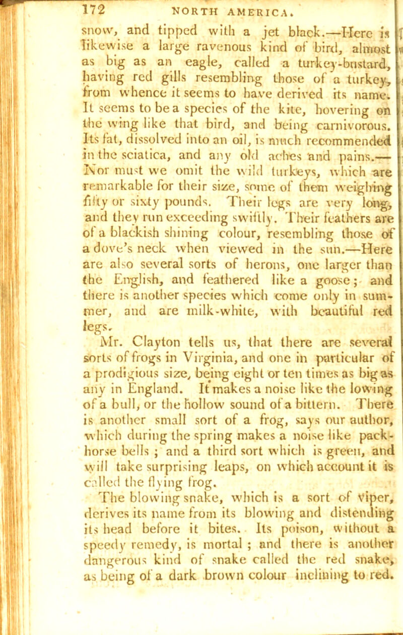 snow, and tipped with a jet black.—I-Icre is likewise a large ravenous kind of bird, almost as big as an eagle, called a turkey-bustard, having red gills resembling those of'a turkey, ;< from whence it seems to have derived its name. It seems to be a species of the kite, hovering on the wing like that bird, and being carnivorous. Its fat, dissolved into an oil, is much recommended in the sciatica, and any old aches and pains.— Nor must we omit the wild turkeys, which are remarkable for their size, some of them weighing fifty or sixty pounds. Their legs are very long, and they run exceeding swiftly. Their feathers are of a blackish shining colour, resembling those of a dove’s neck when viewed in the sun.—Here are also several sorts of herons, one larger than the English, and feathered like a goose; and there is another species which come only in sum- mer, and are milk-white, with beautiful red legs. Mr. Clayton tells us, that there are several sorts of frogs in Virginia, and one in particular of a prodigious size, being eight or ten times as bigas any in England. It makes a noise like the low ing of a bull, or the hollow' sound of a bittern. There is another small sort of a frog, says our author, which during the spring makes a noise like pack- horse bells ; and a third sort which is green, and will take surprising leaps, on which account it is called the flying frog. The blowing snake, which is a sort of Viper, derives its name from its blow'ing and distending its head before it bites. Its poison, without a speedy remedy, is mortal ; and there is another dangerous kind of snake called the red snake, as being of a dark browui colour inclining to red.