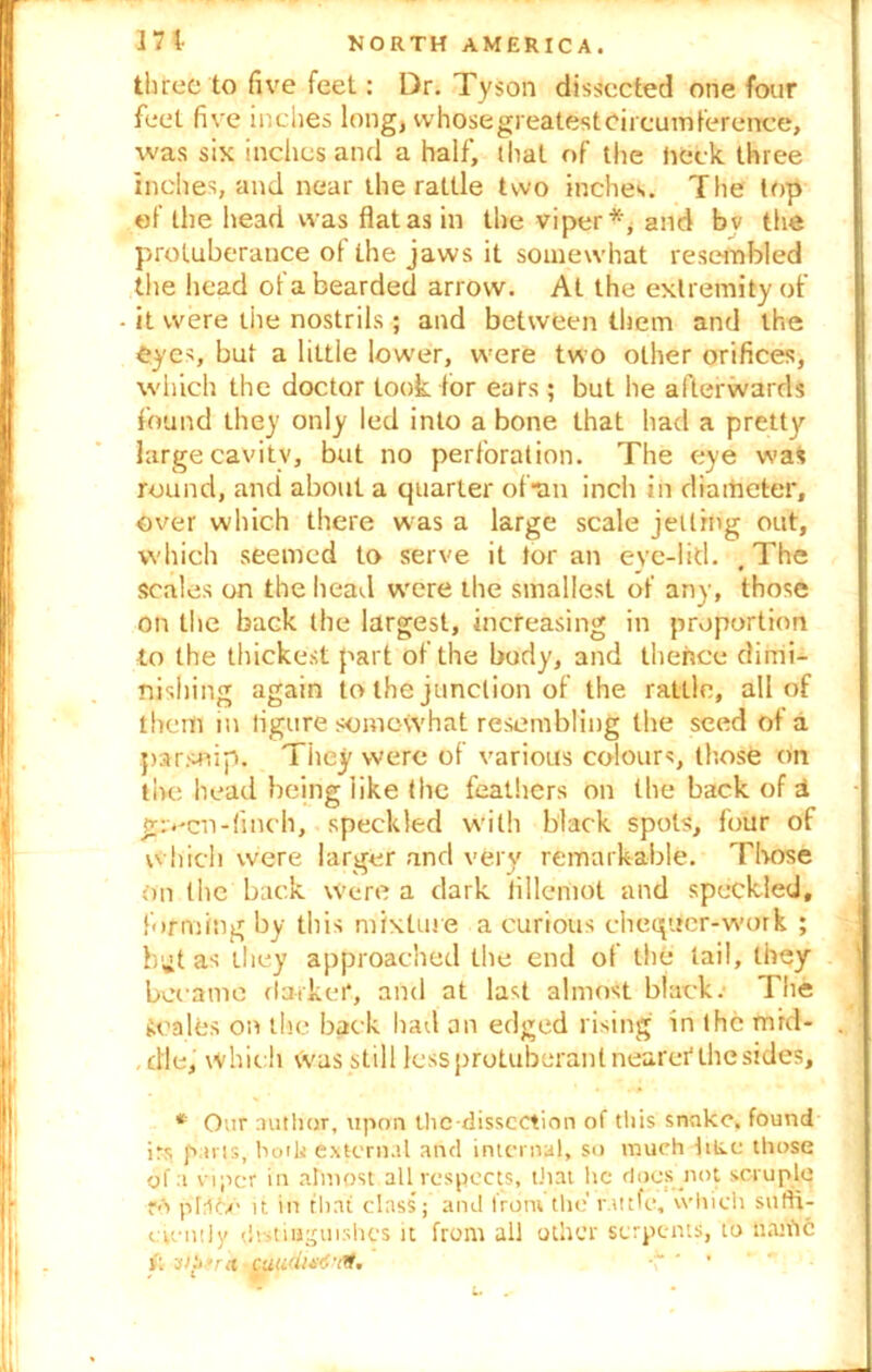 three to five feet: Dr. Tyson dissected one four feet five inches long, whosegreatfest circumference, was six inches and a half, that of the heck, three inches, and near the rattle two inches. The top of the head was flat as in the viper*, and bv the protuberance of the jaws it somewhat resembled the head of a bearded arrow. At the extremity of it were the nostrils; and between them and the eyes, but a little lower, were two other orifices, which the doctor took tor ears; but he afterwards found they only led into a bone that had a pretty large cavity, but no perforation. The eye was round, and about a quarter of Tin inch in diameter, over which there was a large scale jetting out, which seemed to serve it tor an eve-lid. , The scales on the head were the smallest of any, those on the back the largest, increasing in proportion to the thickest part of the body, and thence dimi- nishing again to the junction of the rattle, all of them in figure somewhat resembling the seed of a parsnip. They were of various colours, those on tin: head being like the feathers on the back of a gp-co-finch, speckled with black spots, four of which were larger and very remarkable. Those on the back Were a dark fillemot and speckled, forming by this mixture a curious cheqUcr-work ; b^t as they approached the end of the tail, they became darker, and at last almost black. The scales on the back bad an edged rising in the mrd- . die, which was still less protuberant nearer the sides, * Our author, upon thc-dissection of this snake, found irs parts, both external and internal, so much Itlee those of a viper in almost all respects, that he docs not scruple ro pM6c> it in that class; and from'the r.tttfe, which suffi- ciently distinguishes it from all other serpents, to Han't 6 ft Ubrrct cuudnfilt, \ ' ’