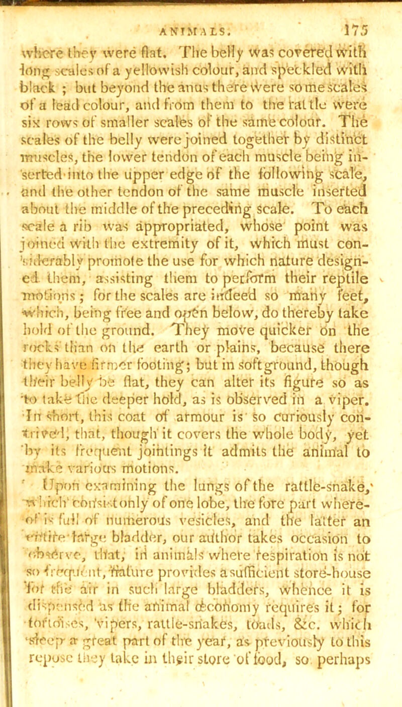 where they were flat. The belly was coveted with long scales of a yellowish colour, and speckled With black ; but beyond the anus there were so me scales of a lead colour, and from them to the tattle were six rows of smaller scales of the same colour. The scales of the belly were joined together by distinct muscles, the lower tendon of each muscle being in- serted’into the upper edge of the following scale, and the other tendon of the same muscle inserted about the m iddle of the preceding scale. To each scale a rib tvas appropriated, whose point was joined with the extremity' of it, which must con- siderably promote the use for which nature design- ed them, assisting them to perform their reptile motions; for the scales are indeed so many feet, •which, being free and op£n below, do thereby take hold of the ground. They move quicker on the rocks than on the earth or plains, because there they have firmer footing; but in soft ground, though their belly be flat, they can alter its figure so as •to take tiie deeper hold, as is observed in a viper. In short, this coat eft armour is' So curiously con- trived, that, though it covers the whole body, yet by its frequent jointings It admits the animal to make various motions. Upon examining the lungs of the rattle-snake/ which' rotfsi-tonly of one lobe, tire fore part where- of is full of numerous vesicles, and the latter an cCtifo-targe; bladder, our author takes occasion to observe, that, iri animals where Respiration is not so foequi' ntyfraliire provides a sufficient store-house Tot the air in such large bladders, whence it is dispensed as fire animal cfecofiomy requires it; for tortoises, Vipers, rattle-snakes, toads, &c. which •steep a great part of the year, as previously to this repose they take in their store of food, so perhaps