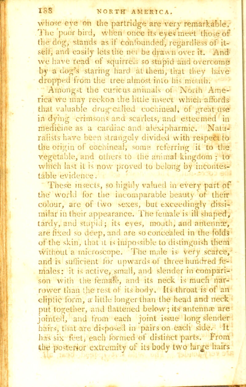 whose eve on the partridge are verv remarkable. The poor bird, when once its eyes meet those of the. dog, ■stands as if confounded, regardless of it- self, and easily lets the nei be drawn over it. And we have read of squirrels so stupid and overcome by a dog's staring hard at them, that they have dropped from the tree almost into his mouth. Amongst the curious animals of North Ame- rica we may reckon ibe littie insect which affords that valuable drug-cal led cocnineal, of great use in dying crimsons ar.d scarlets, and esteemed in medicine as a cardiac and aiexipharmic. Natu- ralists have been strangely divided with respect to the origin of cochineal, some referring it to the vegetable, and others to the animal kingdom ; to which last it is now proved to belong by incontes- table evidence. These insects, so highly valued in every part of die' world for the incomparable beauty of their colour, are of two sexes, but exceedingly dissi- milar in their appearance. The female is ill shaped, tardy, and stupid; its eyes, mouth, and antennae, are fixed so deep, and are so concealed in the folds of the skin, that it is impossible to distinguish them without a microscope. The male is very scarce, and is sufficient for upwards of three hundred fe- males: it is active, smali, and slender in cofnpari-' son with the female, and its neck is much nar- rower than the rest of its body. Its throat is of an eliptic form, a little longer than the head and neck put together, and flattened below; its antennae are jointed, and from each joint issue long slender hairs, tiiat are disposed in pairs on each side. It has six feet, each formed of distinct parts, from the posterior extremity of its body two large hairs