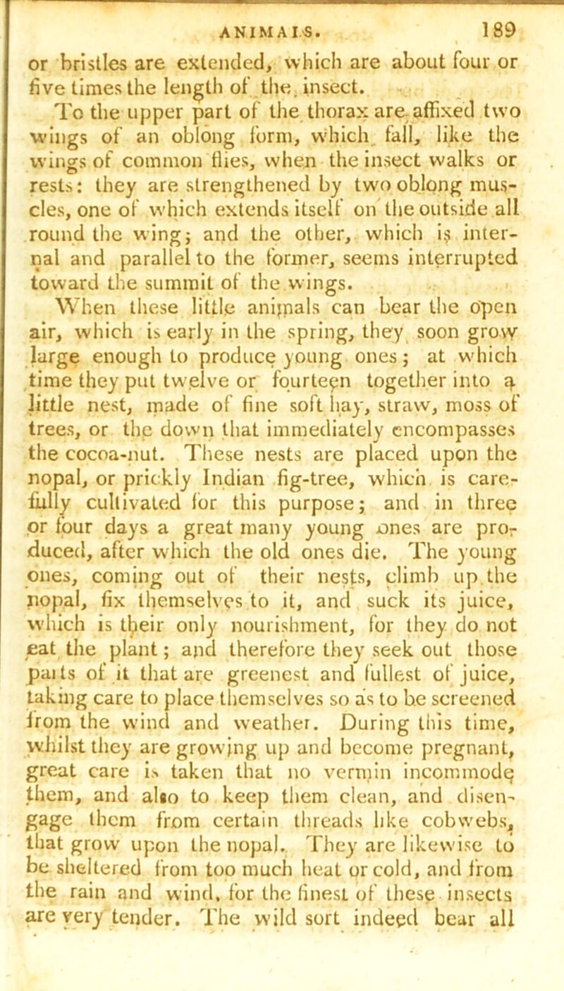 or bristles are extended, which are about four or five times the length of the. insect. To the upper part of the thorax are affixed two wings of an oblong form, which fall, like the wings of common Hies, when the insect walks or rests: they are strengthened by two oblong mus- cles, one of which extends itself on the outside all round the wing} and the other, which is inter- nal and parallel to the former, seems interrupted toward the summit of the w ings. When these little anijnals can bear the open air, which is early in the spring, they soon grow large enough to produce young ones; at which time they put twelve or fourteen together into a little nest, made of fine soft hay, straw, moss of trees, or the down that immediately encompasses the cocoa-nut. These nests are placed upon the nopal, or prickly Indian fig-tree, which is care- fully cultivated lor this purpose; and in three or four days a great many young ones are pro7 duced, after which the old ones die. The young ones, coming out of their nests, climb up.the nopal, fix themselves to it, and suck its juice, which is tl^eir only nourishment, for they do not eat the plant; and therefore they seek out those paits of it that are greenest and fullest of juice, taking care to place themselves so as to be screened from the wind and weather. During this time, whilst they are growing up and become pregnant, great care is taken that no vermin incommode them, and al«o to keep them clean, and disen- gage them from certain threads like cobwebs, that grow upon the nopal. They are likewise to be sheltered from too much heat or cold, and from the rain and wind, for the finesl of these insects are very tender. The wild sort indeed bear all