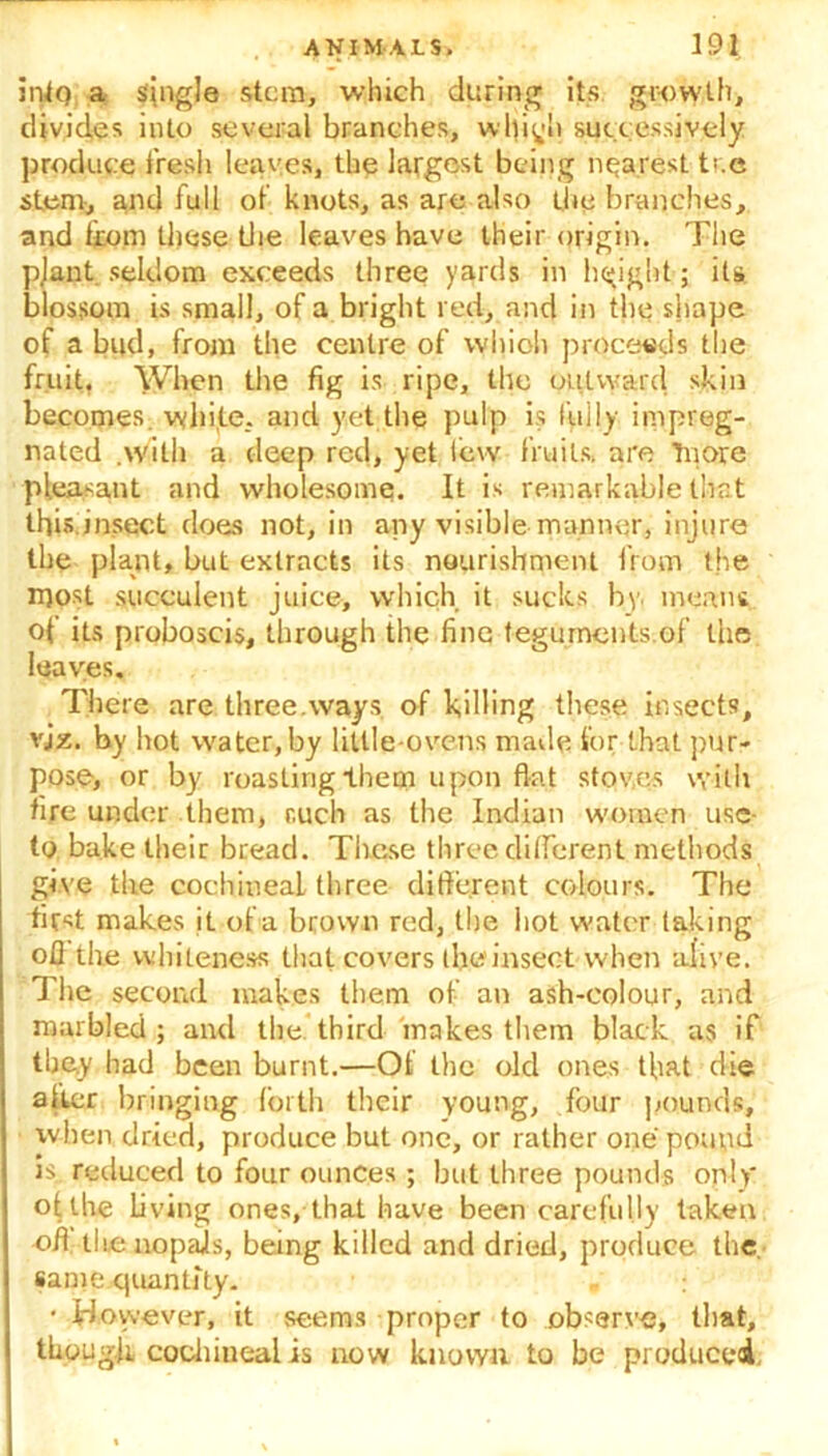 iniq a single stem, which during its growth, divides into several branches, whi^h successively produce fresh leaves, the largest being nearest tr.c stem, and full of knots, as are also the branches, and from these the leaves have their origin. The pjant seldom exceeds three yards in height; its blossom is small, of a bright red, and in the shape of a bud, from the centre of which proceeds the fruit. When the fig is ripe, the outward skin becomes, white, and yet the pulp is fully impreg- nated .with a deep red, yet lew fruits, are Tnore pleasant and wholesome. It is remarkable that this.insect does not, in any visible manner, injure the plant, but extracts its nourishment from the most succulent juice, which it sucks by meant of its proboscis, through the fine teguments.of the leaves. There are three.ways of killing these insects, vjz. by hot water, by little-ovens made for that pur- pose, or by roasting them upon flat stoves with fire under them, r.uch as the Indian women usc- to bake their bread. These three different methods give the cochineal three different colours. The fir^t makes it of a brown red, the hot water taking off the whiteness that covers the insect when alive. The second makes them of an ash-colour, and marbled ; and the third makes them black as if they had been burnt.—Of the old ones that die alter bringing forth their young, four pounds, when dried, produce but one, or rather one pound is reduced to four ounces ; but three pounds only otlhe living ones, that have been carefully taken off the nopals, being killed and dried, produce the, same quantity. • However, it seems proper to observe, that, though cochineal is now known to be produced