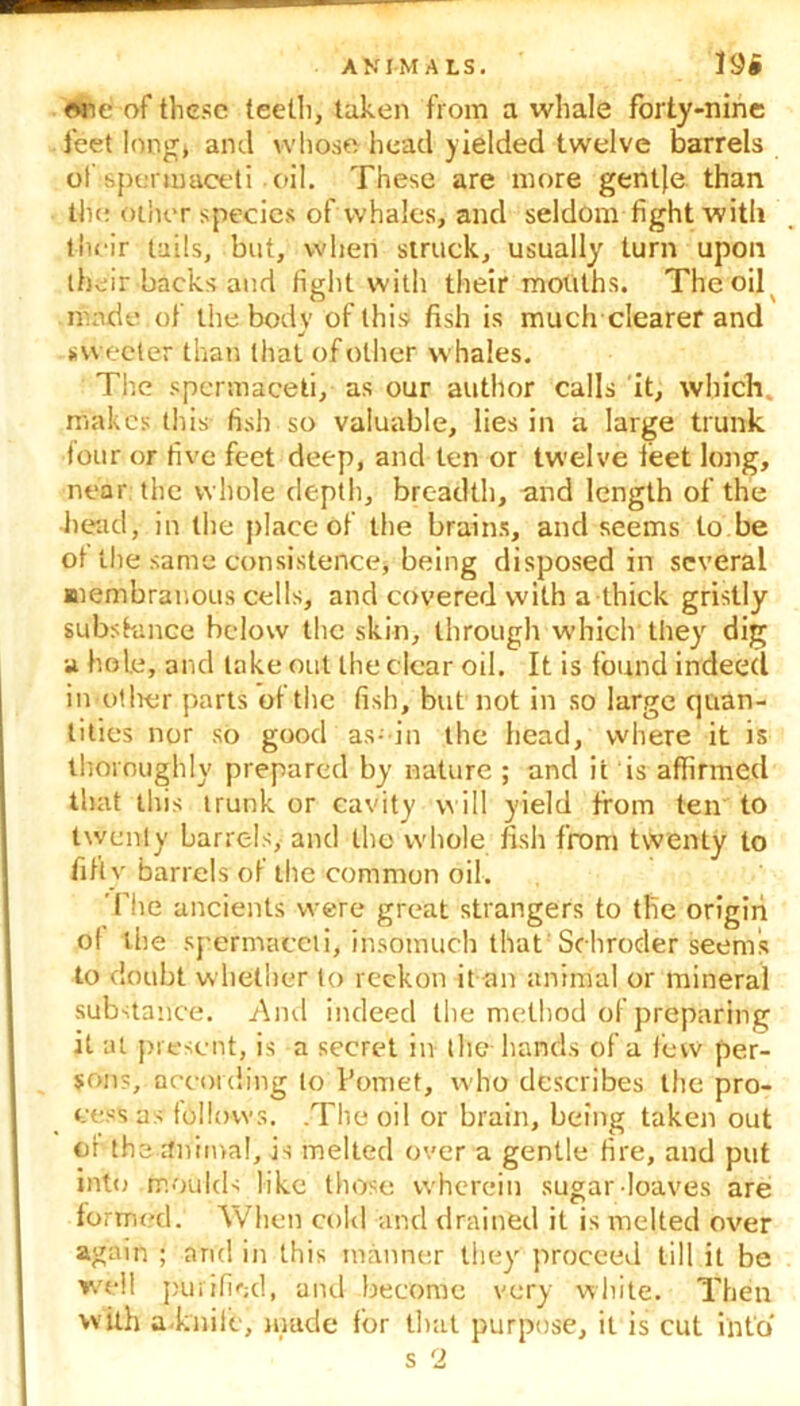 we of these teeth, taken from a whale forty-nine feet long* and whoso head yielded twelve barrels of spermaceti oil. These are more gentje than the other species of whales, and seldom fight with their tails, but, when struck, usually turn upon their backs and tight with their mouths. The oil made of the body of this fish is much clearer and sweeter than that of other whales. The spermaceti, as our author calls it, which, makes this fish so valuable, lies in a large trunk four or five feet deep, and ten or twelve feet long, near the whole depth, breadth, and length of the head, in the place of the brains, and seems to be ot the same consistence, being disposed in several membranous cells, and covered with a thick gristly substance below the skin, through which'they dig a hole, and lake out the clear oil. It is found indeed in other parts of the fish, but not in so large quan- tities nor so good as- in the head, where it is thoroughly prepared by nature ; and it is affirmed that this trunk or cavity will yield from ten to twenty barrels, and the whole fish from twenty to fifty barrels of the common oil. The ancients were great strangers to tlie origin of the spermaceti, insomuch that Schroder seems to doubt whether to reckon it an animal or mineral substance. And indeed the method of preparing it at present, is a secret in the hands of a few per- sons, according to Forriet, who describes the pro- cess us follows. .The oil or brain, being taken out or the animal, is melted over a gentle fire, and put into moulds like those wherein sugar-loaves are formed.' When cold and drained it is melted over again ; and in this manner they proceed till it be well purified, and become very white. Then with a-kniie, made for that purpose, it is cut into