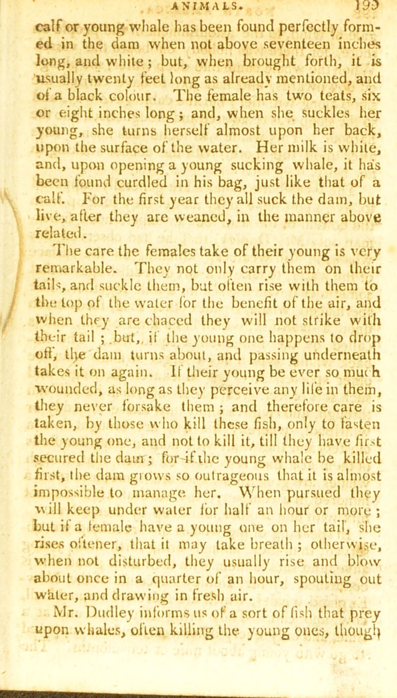 calf or young whale has been found perfectly form- ed in the dam when not above seventeen inches long, and white; but, when brought forth, it is usually twenty feel long as already mentioned, and of a black colour. The female has two teats, six or eight inches long; and, when she suckles her young, she turns herself almost upon her back, upon the surface of the water. Her milk is white, and, upon opening a young sucking whale, it has been found curdled in his bag, just like that of a calf. For the first year they all suck the dam, but live, after they are weaned, in the manner above related. The care the females take of their young is very remarkable. They not only carry them on their tails, and suckle them, but often rise with them to the top of the water for the benefit of the air, and when they are chaced they will not strike with their tail ; .but,, if the young one happens to drop ofi, tlye dam turns about, and passing underneath takes it on again. If their young be ever so mui h wounded, as long as they perceive any life in them, they never forsake them ; and therefore care is taken, by those who kill these fish, only to fasten the young one, and not to kill it, till they have first secured the dam ; for if the young whale be killed first, the dam grows so outrageous that it is almost impossible to manage her. When pursued they ■will keep under water ibr half an hour or more ; but if a female have a young one on her tail, site rises oitener, that it may take breath ; otherwise, when not disturbed, they usually rise and blow about once in a quarter of an hour, spouting out whler, and drawing in fresh air. Mr. Dudley informs us of a sort of fish that prey upon whales, often killing the young ones, though