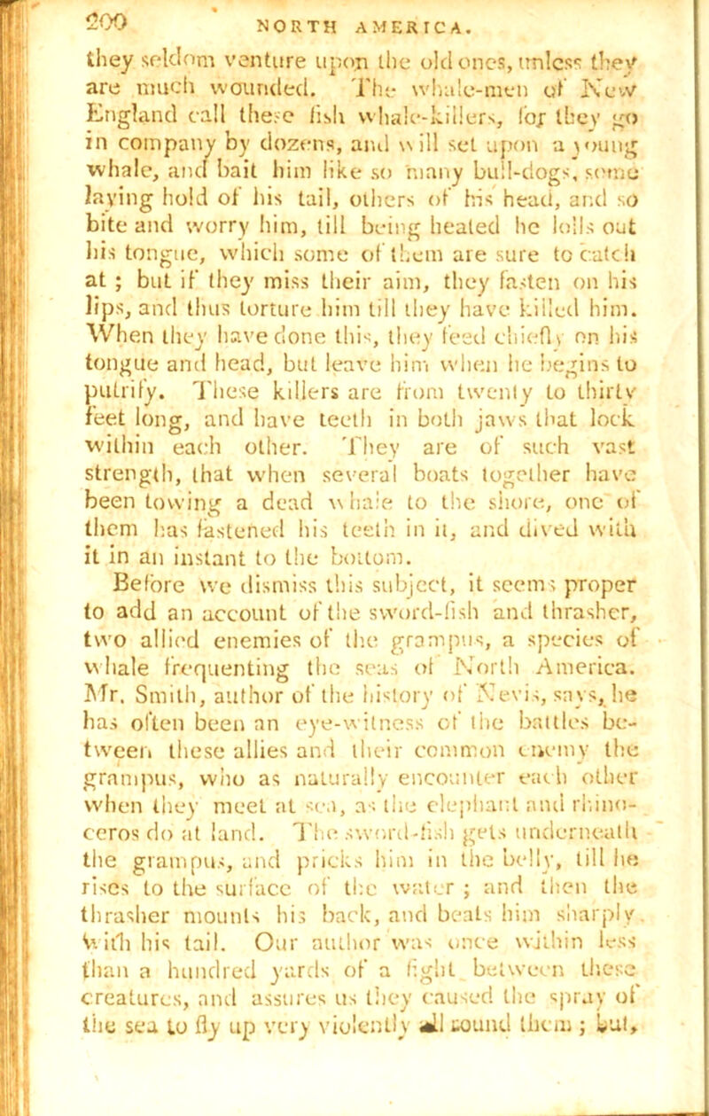 they seldom venture upon the old ones, unless they are much wounded. The whale-men of Newt England call these fish whale-killers, loj they go in company by dozens, and will set upon a young whale, ancl bait him like so many bull-dogs, some laying hold of his tail, others of his head, and so bite and worry him, till being heated he lolls out his tongue, which some of them are sure to catch at ; but if they miss their aim, they fasten on his lips, and thus torture him till they have killed him. When they have clone this, they feed chiefly on his tongue and head, but leave him when he begins to putrify. These killers are from twenty to thirlv feet long, and have teeth in both jaws that lock within each other. They are of such vast strength, that when several boats together have been to vying a dead w hale to the shore, one of them has fastened his teeth in it, and dived with it in an instant to the bottom. Before we dismiss this subject, it seems proper to add an account of the sword-fish and thrasher, two allied enemies of the grampus, a species of whale frequenting the seas of North America. 1STr. Smith, author of the history of Nevis, says, lie has often been an eye-witness of the battles be- tween these allies and their common enemy the grampus, who as naturally encounter eac h other when they meet at sea, as the elephant and rhino- ceros do at land. The sword-fish gets underneath the grampus, and pricks him in the belly, till he rises to the surface of the water ; and then the thrasher mounts his back, and beats him sharply Vi itlhhis tail. Our author was once within less than a hundred yards of a hglit between these creatures, and assures us they caused the spray of the sea to fly up very violently *11 sound them ; hut.