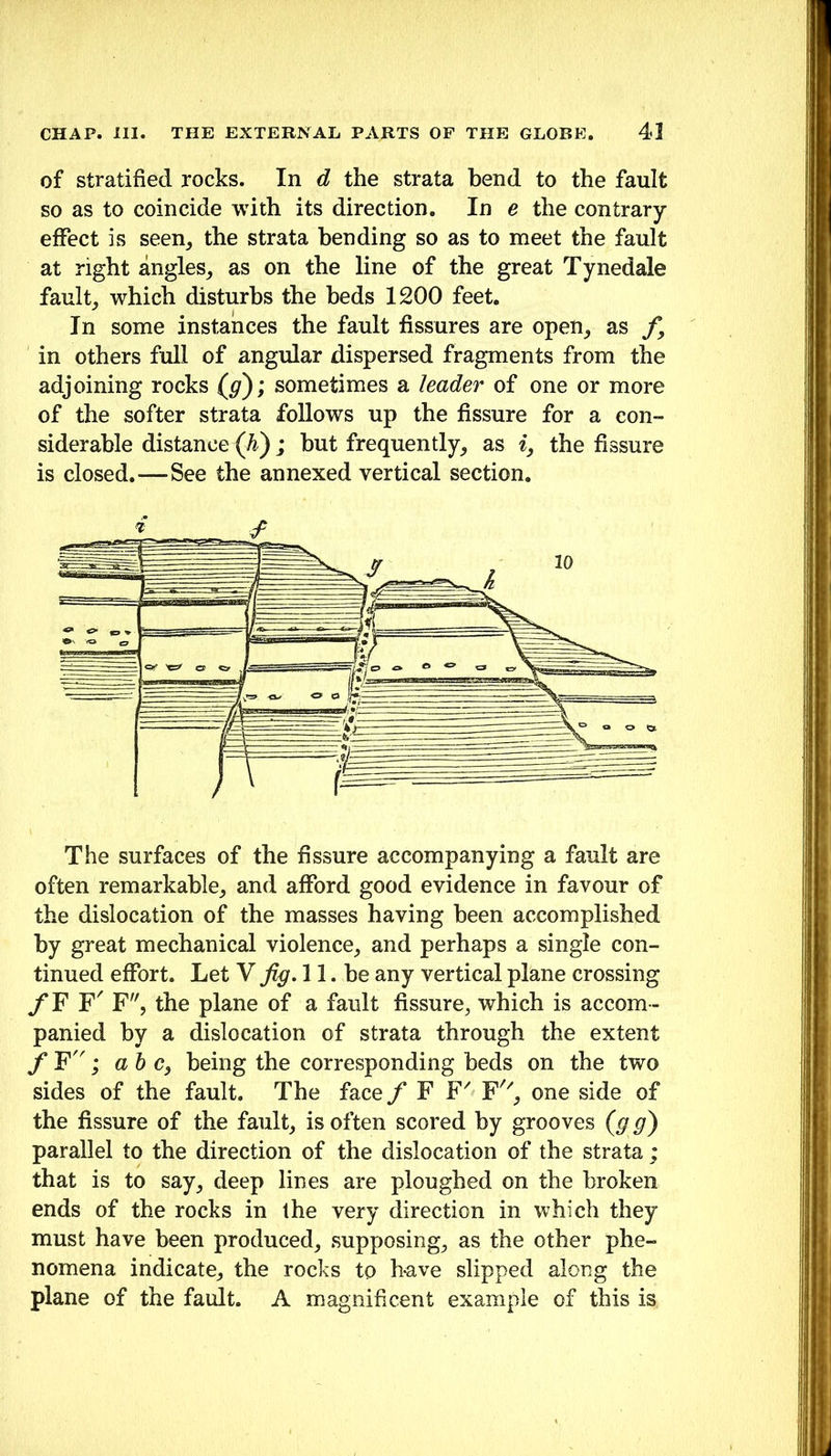 of stratified rocks. In d the strata bend to the fault so as to coincide with its direction. In e the contrary effect is seen, the strata bending so as to meet the fault at right angles, as on the line of the great Tynedale fault, which disturbs the beds 1200 feet. In some instances the fault fissures are open, as f, in others full of angular dispersed fragments from the adjoining rocks (jg'); sometimes a leader of one or more of the softer strata follows up the fissure for a con- siderable distance {^); but frequently, as i, the fissure is closed.—See the annexed vertical section. The surfaces of the fissure accompanying a fault are often remarkable, and afford good evidence in favour of the dislocation of the masses having been accomplished by great mechanical violence, and perhaps a single con- tinued effort. Let V fig. 11. he any vertical plane crossing y F F' F, the plane of a fault fissure, which is accom- panied by a dislocation of strata through the extent ah c, being the corresponding beds on the two sides of the fault. The face / F F' one side of the fissure of the fault, is often scored by grooves {g g) parallel to the direction of the dislocation of the strata ; that is to say, deep lines are ploughed on the broken ends of the rocks in the very direction in which they must have been produced, supposing, as the other phe- nomena indicate, the rocks to h^ve slipped along the plane of the fault. A magnificent example of this is