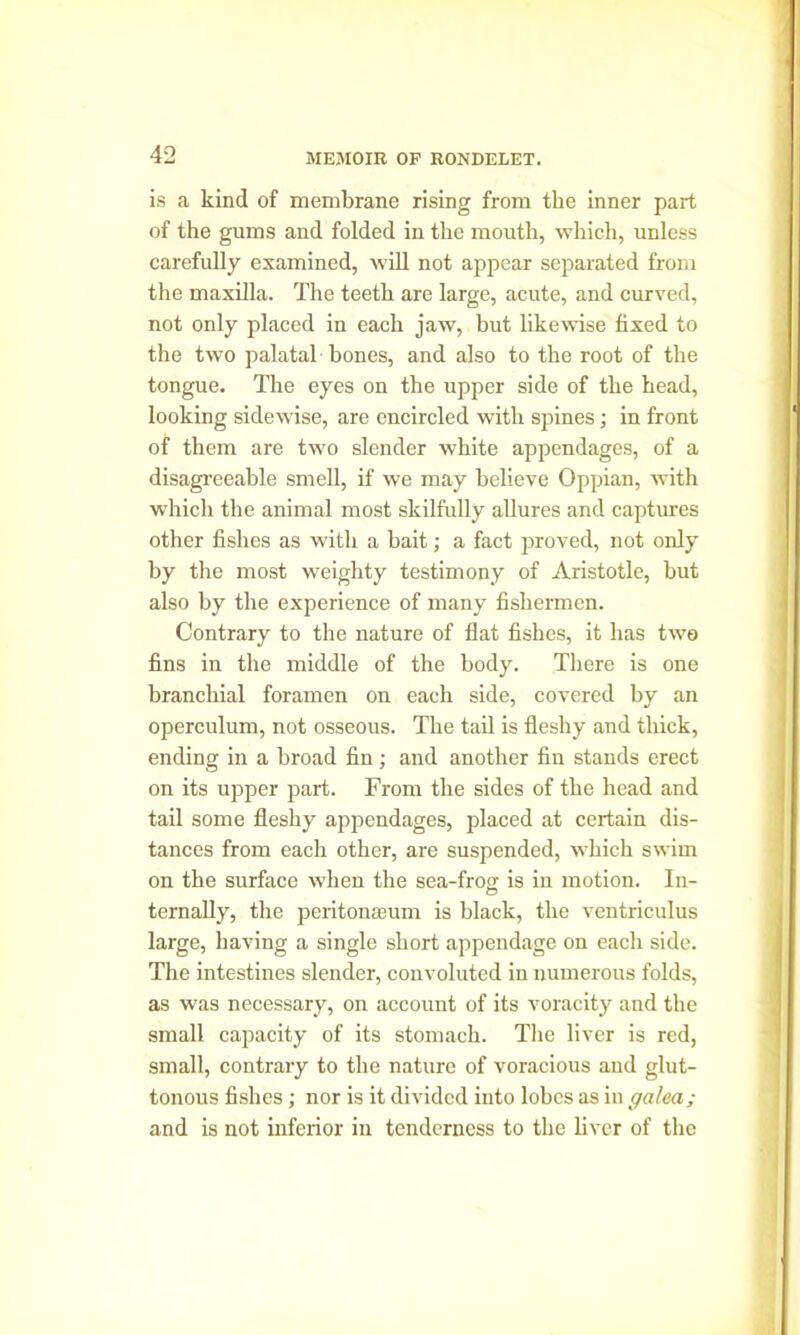 is a kind of membrane rising from the inner part of the gums and folded in the mouth, which, unless carefully examined, will not appear separated from the maxilla. The teeth are large, acute, and curved, not only placed in each jaw, but likewise fixed to the two palatal bones, and also to the root of the tongue. The eyes on the upper side of the head, looking sidewise, are encircled with spines; in front of them are two slender white appendages, of a disagreeable smell, if we may believe Oppian, with which the animal most skilfully allures and captures other fishes as with a bait; a fact proved, not only by the most weighty testimony of Aristotle, but also by the experience of many fishermen. Contrary to the nature of flat fishes, it has two fins in the middle of the body. There is one branchial foramen on each side, covered by an operculum, not osseous. The tail is fleshy and thick, ending in a broad fin ; and another fin stands erect on its upper part. From the sides of the head and tail some fleshy appendages, placed at certain dis- tances from each other, are suspended, which swim on the surface when the sea-frog is in motion. In- temally, the pcritona>um is black, the ventriculus large, having a single short appendage on each side. The intestines slender, convoluted in numerous folds, as was necessary, on account of its voracity and the small capacity of its stomach. The liver is red, small, contrary to the nature of voracious and glut- tonous fishes; nor is it divided into lobes as in galea; and is not inferior in tenderness to the liver of the