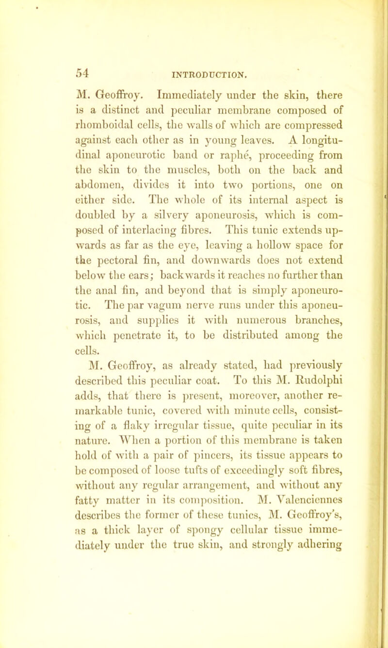 M. Geoffroy. Immediately under the skin, there is a distinct and peculiar membrane composed of lhomboidal cells, the walls of which are compressed against each other as in young leaves. A longitu- dinal aponeurotic band or raphe, proceeding from the skin to the muscles, both on the back and abdomen, divides it into two portions, one on either side. The whole of its internal aspect is doubled by a silvery aponeurosis, which is com- posed of interlacing fibres. This tunic extends up- wards as far as the eye, leaving a hollow space for the pectoral fin, and downwards does not extend below the ears; backwards it reaches no further than the anal fin, and beyond that is simply aponeuro- tic. The par vagum nerve runs under this aponeu- rosis, and supplies it with numerous branches, which penetrate it, to be distributed among the cells. M. Geoffroy, as already stated, had previously described this peculiar coat. To this M. Rudolphi adds, that there is present, moreover, another re- markable tunic, covered with minute cells, consist- ing of a flaky irregular tissue, quite peculiar in its nature. When a portion of this membrane is taken hold of with a pair of pincers, its tissue appears to be composed of loose tufts of exceedingly soft fibres, without any regular arrangement, and without any fatty matter in its composition. M. Valenciennes describes the former of these tunics, M. Geoffroy s, as a thick layer of spongy cellular tissue imme- diately under the true skin, and strongly adhering