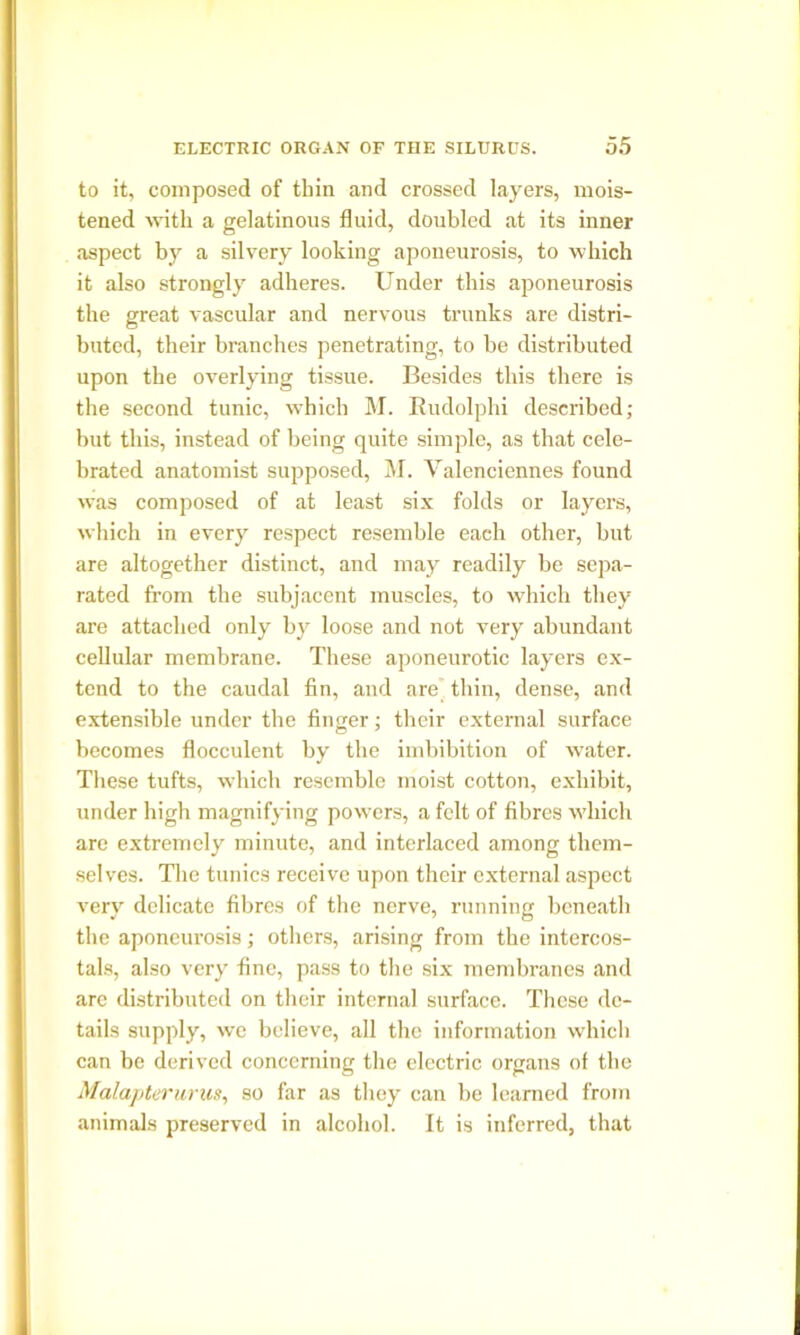 to it, composed of thin and crossed layers, mois- tened with a gelatinous fluid, doubled at its inner aspect by a silvery looking aponeurosis, to which it also strongly adheres. Under this aponeurosis the great vascular and nervous trunks are distri- buted, their branches penetrating, to be distributed upon the overlying tissue. Besides this there is the second tunic, which M. Rudolphi described; but this, instead of being quite simple, as that cele- brated anatomist supposed, M. Valenciennes found was composed of at least six folds or layers, which in every respect resemble each other, but are altogether distinct, and may readily be sepa- rated from the subjacent muscles, to which they are attached only by loose and not very abundant cellular membrane. These aponeurotic layers ex- tend to the caudal fin, and are thin, dense, and extensible under the finger; their external surface becomes flocculent by the imbibition of water. These tufts, which resemble moist cotton, exhibit, under high magnifying powers, a felt of fibres wdiich are extremely minute, and interlaced among them- selves. The tunics receive upon their external aspect very delicate fibres of the nerve, running beneath the aponeurosis; others, arising from the intercos- tals, also very fine, pass to the six membranes and arc distributed on their internal surface. These de- tails supply, we believe, all the information which can be derived concerning the electric organs of the Malapterurus, so far as they can be learned from animals preserved in alcohol. It is inferred, that