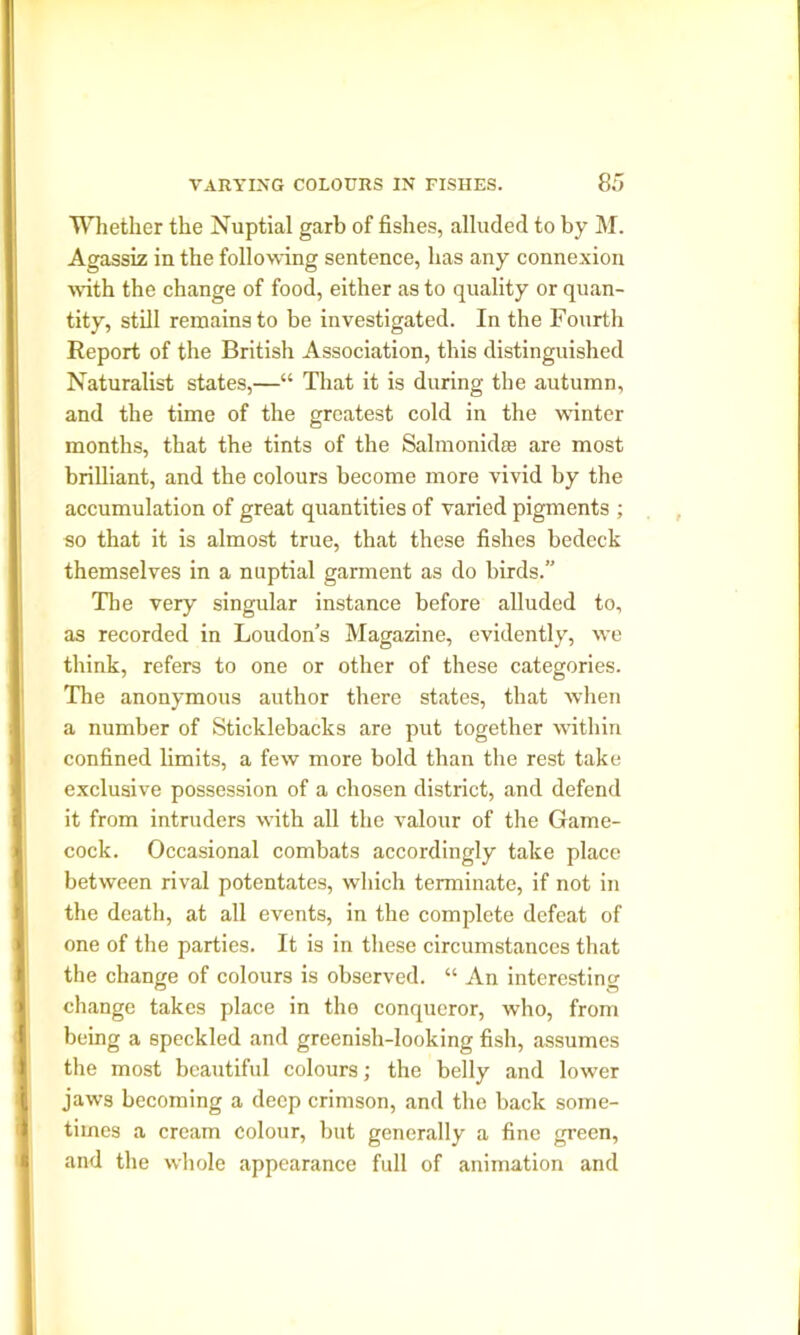 Whether the Nuptial garb of fishes, alluded to by M. Agassiz in the following sentence, has any connexion with the change of food, either as to quality or quan- tity, still remains to be investigated. In the Fourth Report of the British Association, this distinguished Naturalist states,—“ That it is during the autumn, and the time of the greatest cold in the winter months, that the tints of the Salmonidte are most brilliant, and the colours become more vivid by the accumulation of great quantities of varied pigments ; so that it is almost true, that these fishes bedeck themselves in a nuptial garment as do birds.” The very singular instance before alluded to, as recorded in Loudon’s Magazine, evidently, we think, refers to one or other of these categories. The anonymous author there states, that when a number of Sticklebacks are put together within confined limits, a few more bold than the rest take exclusive possession of a chosen district, and defend it from intruders with all the valour of the Game- cock. Occasional combats accordingly take place between rival potentates, which terminate, if not in the death, at all events, in the complete defeat of one of the parties. It is in these circumstances that the change of colours is observed. “ An interesting change takes place in the conqueror, who, from being a speckled and greenish-looking fish, assumes the most beautiful colours; the belly and lower jaws becoming a deep crimson, and the back some- times a cream colour, but generally a fine green, and the whole appearance full of animation and